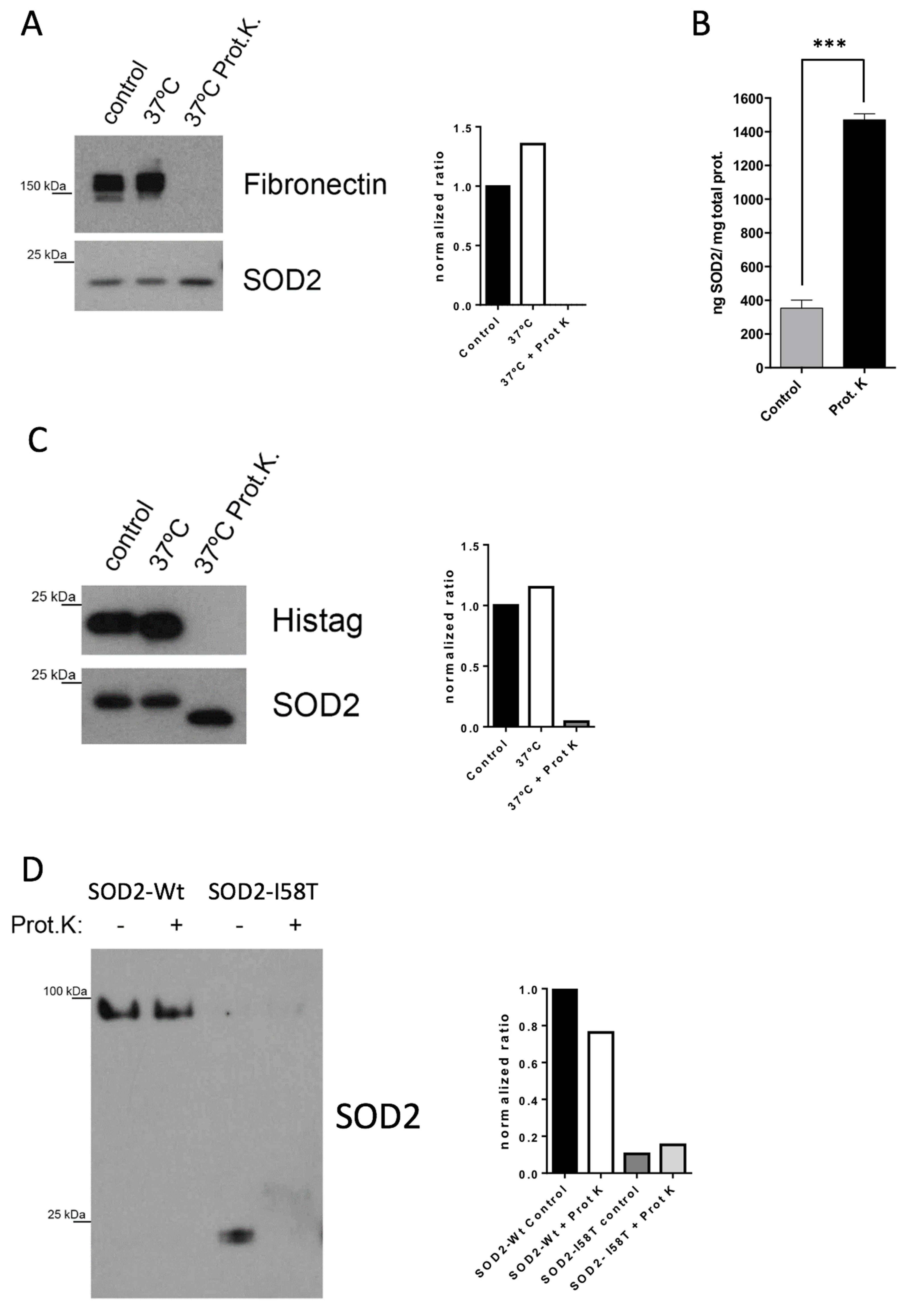 Cancers 14 03858 g002