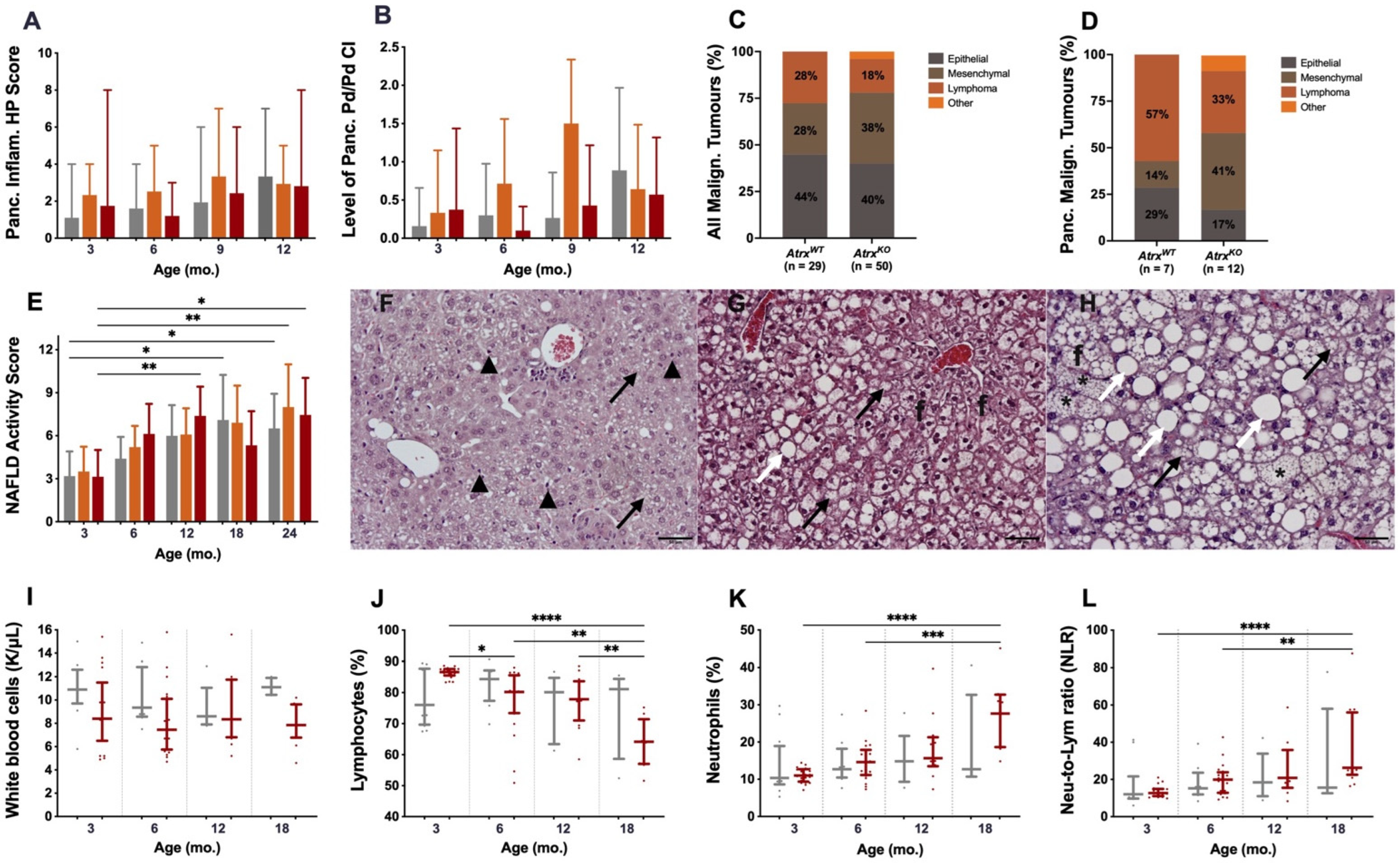 Cancers 14 03865 g002 Cancers 14 03865 g002