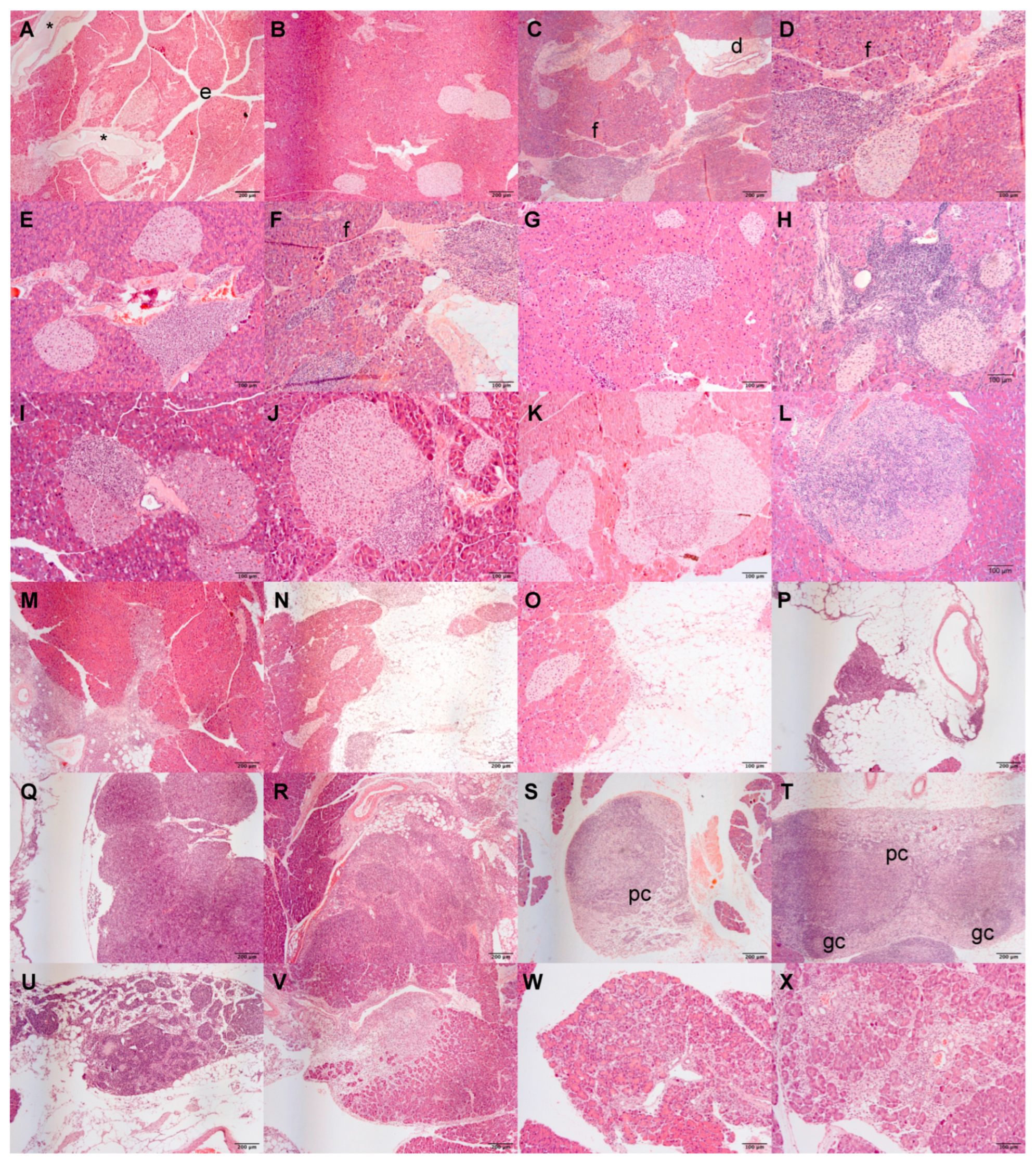 Cancers 14 03865 g003 Cancers 14 03865 g003