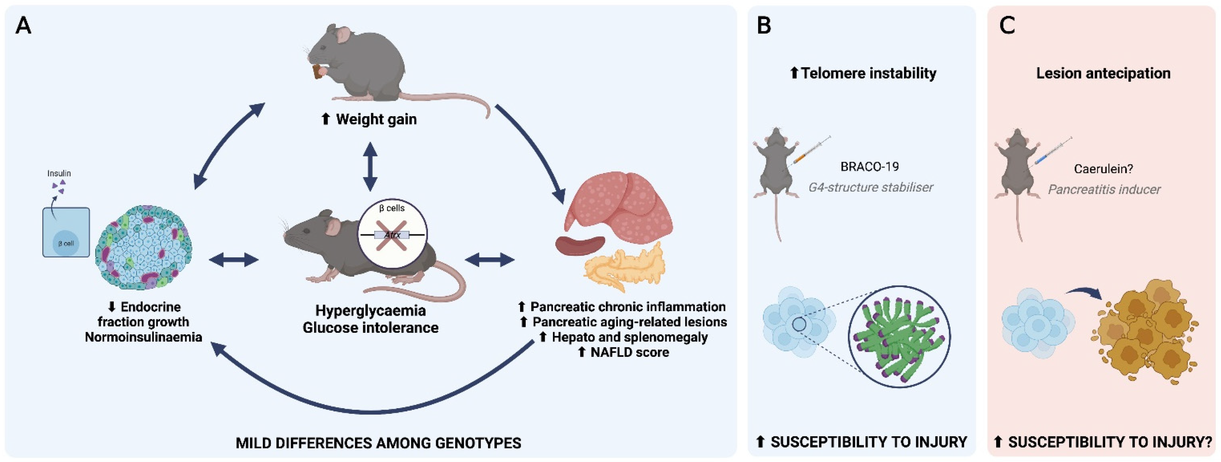 Cancers 14 03865 g007 Cancers 14 03865 g007