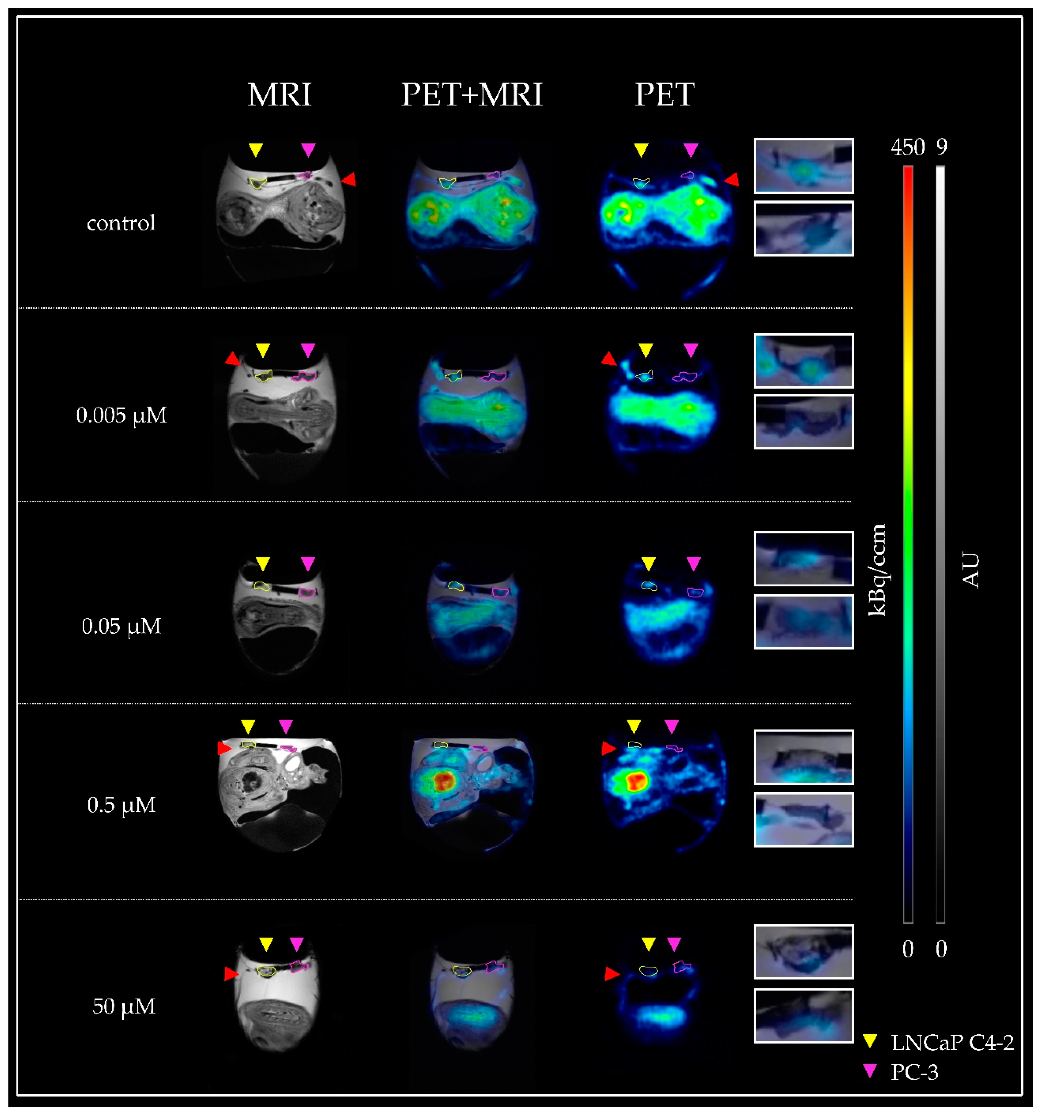 Cancers 14 03870 g001