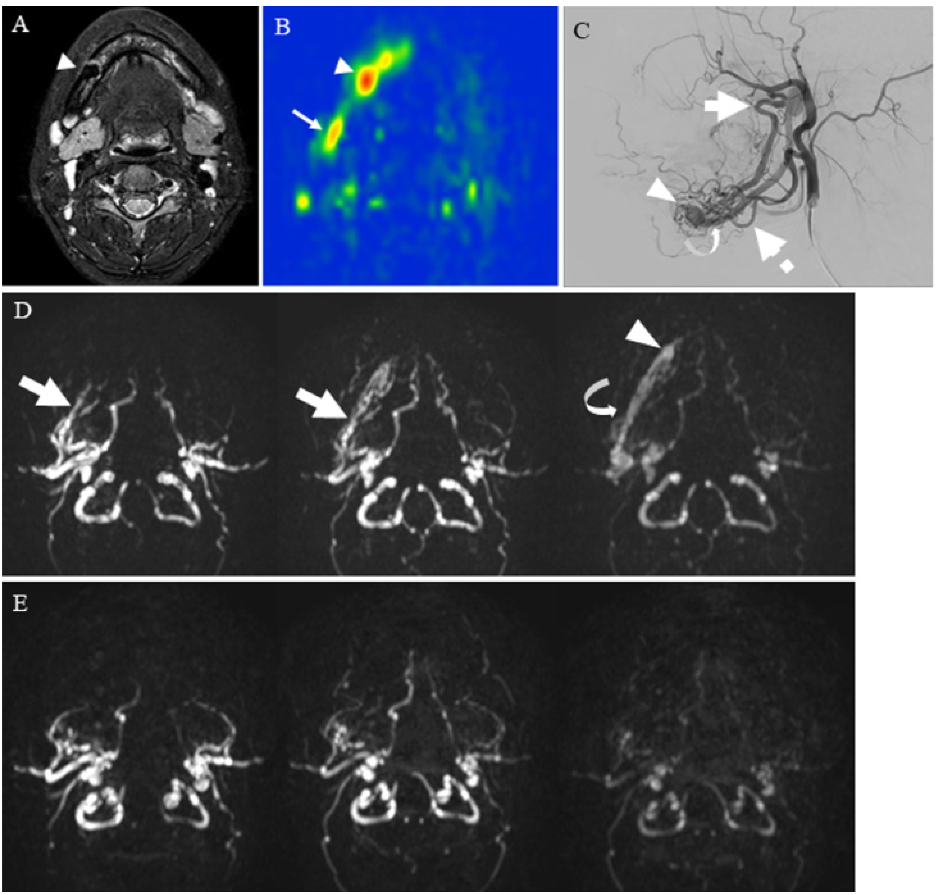 Cancers 14 03872 g007