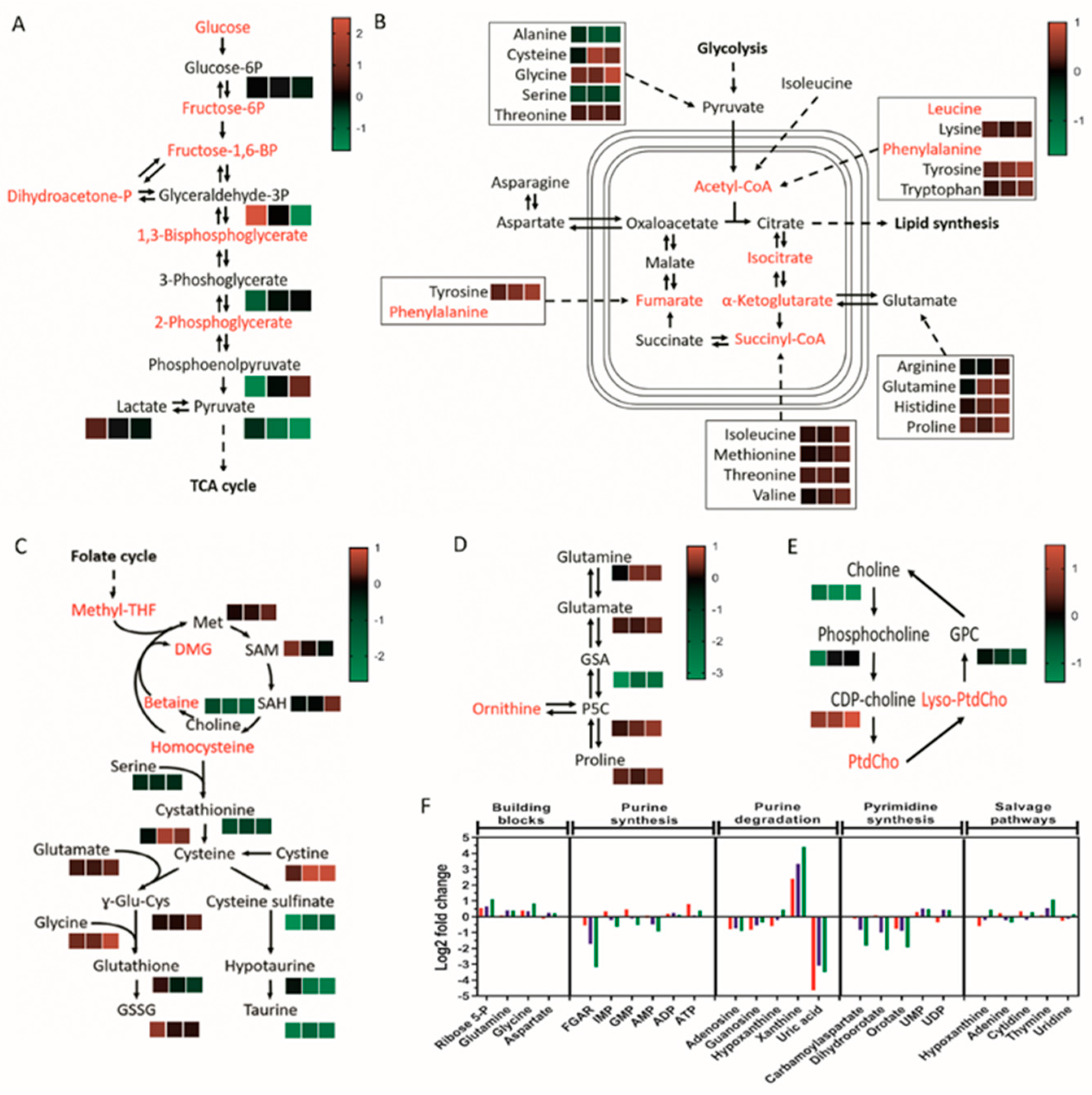 Cancers 14 03873 g003 550