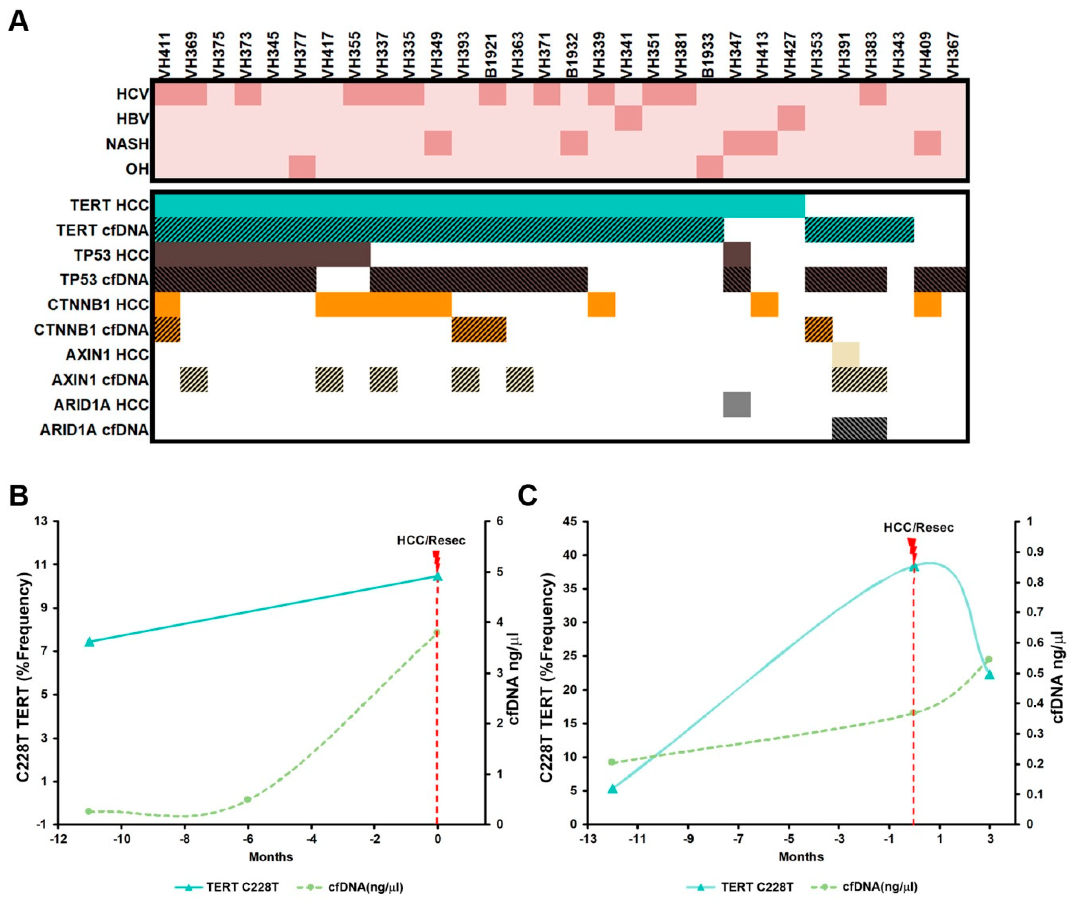 Ultra Deep Sequencing of Circulating Cell-Free DNA as a