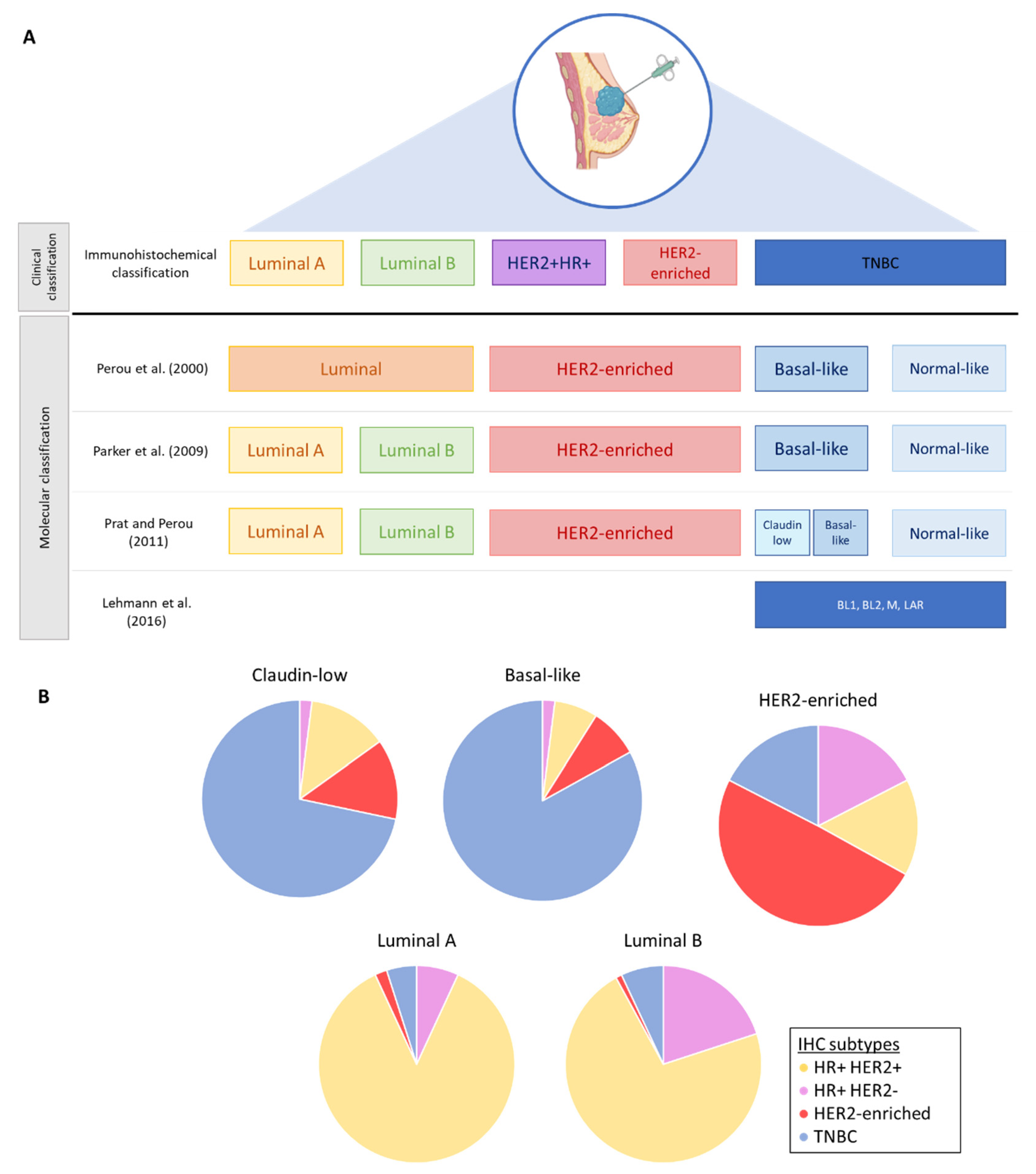 Cancers 14 03876 g002 Cancers 14 03876 g002