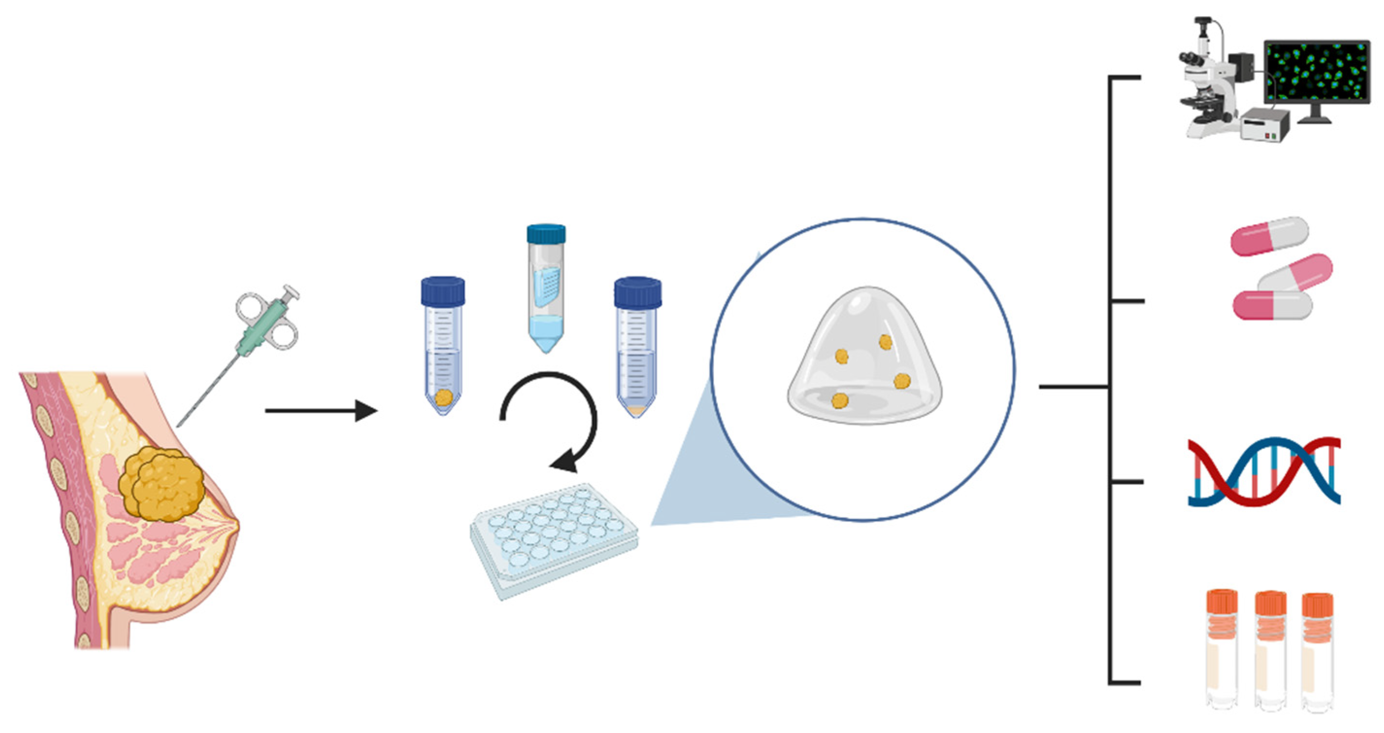 Cancers 14 03876 g003 Cancers 14 03876 g003