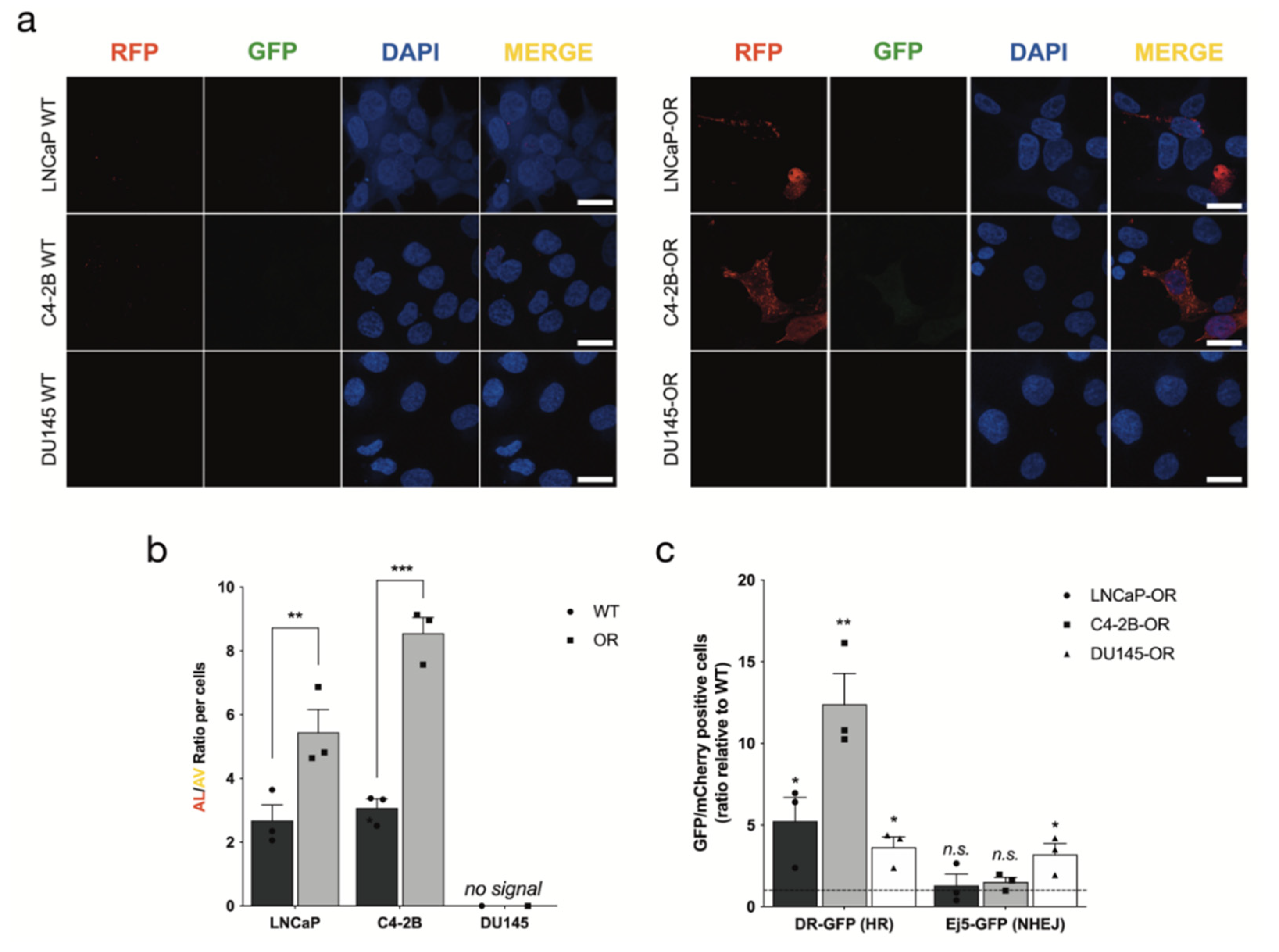 Cancers 14 03877 g004 550