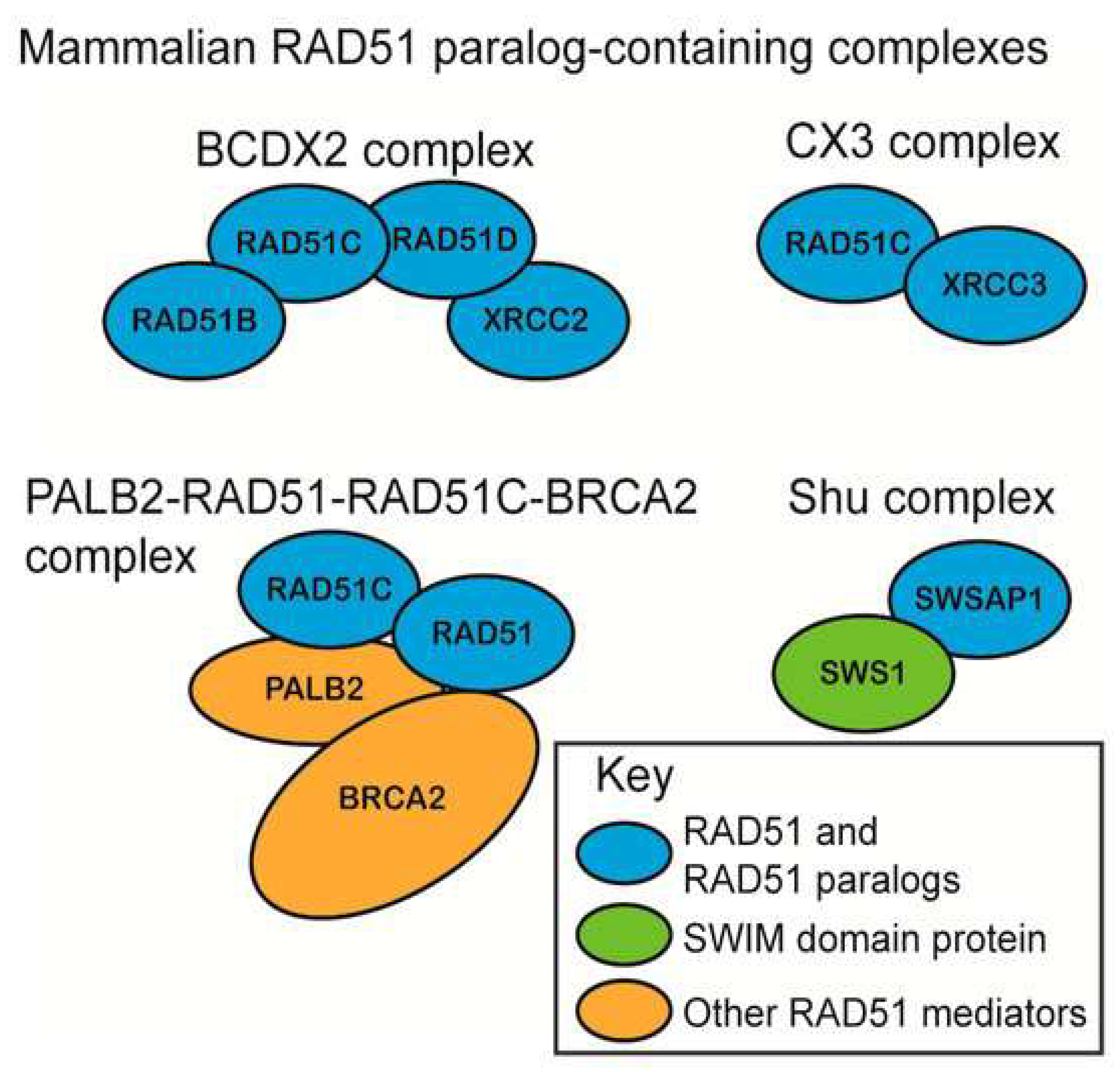 Cancers 14 03888 g003