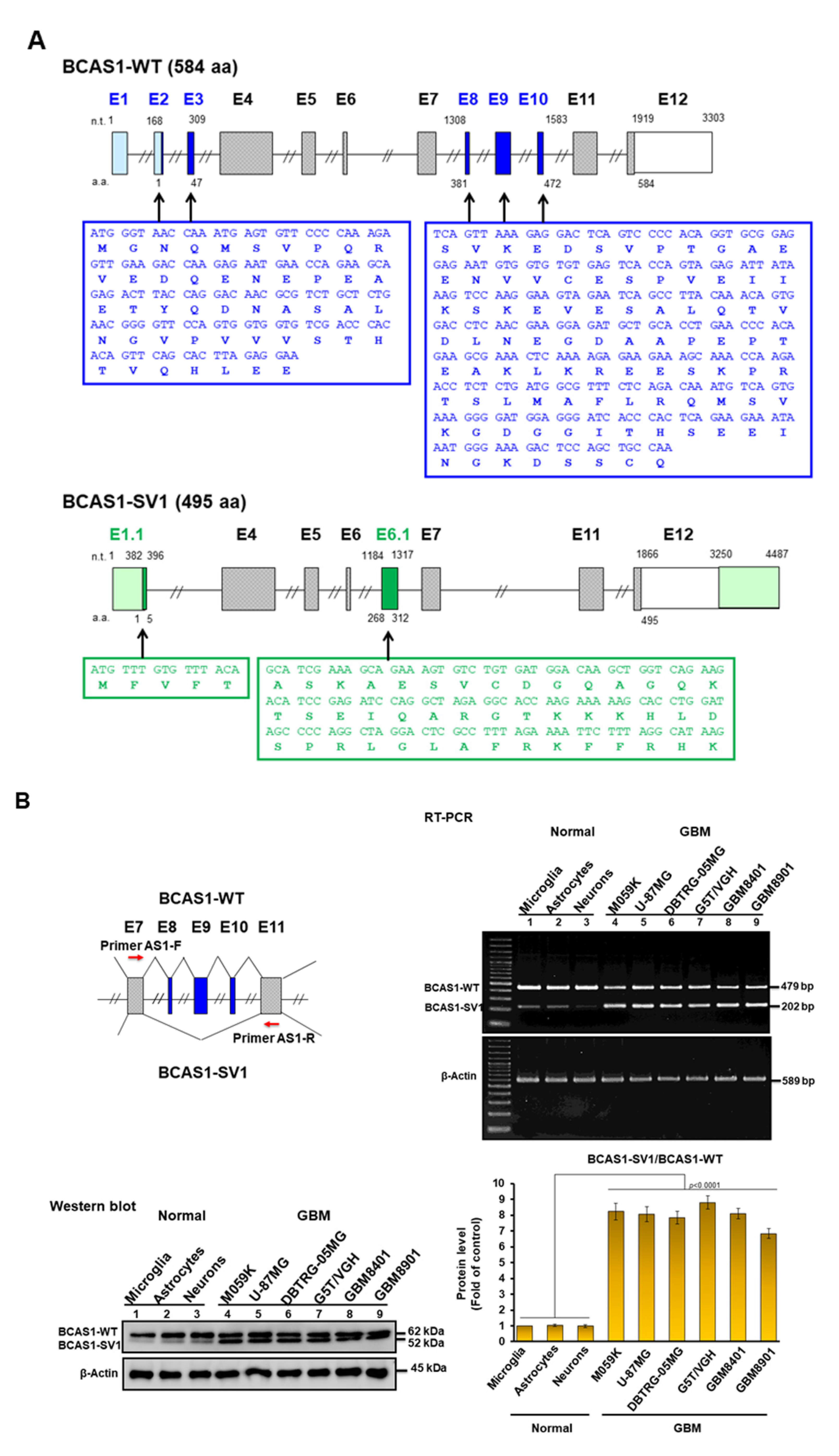 Cancers 14 03890 g001a