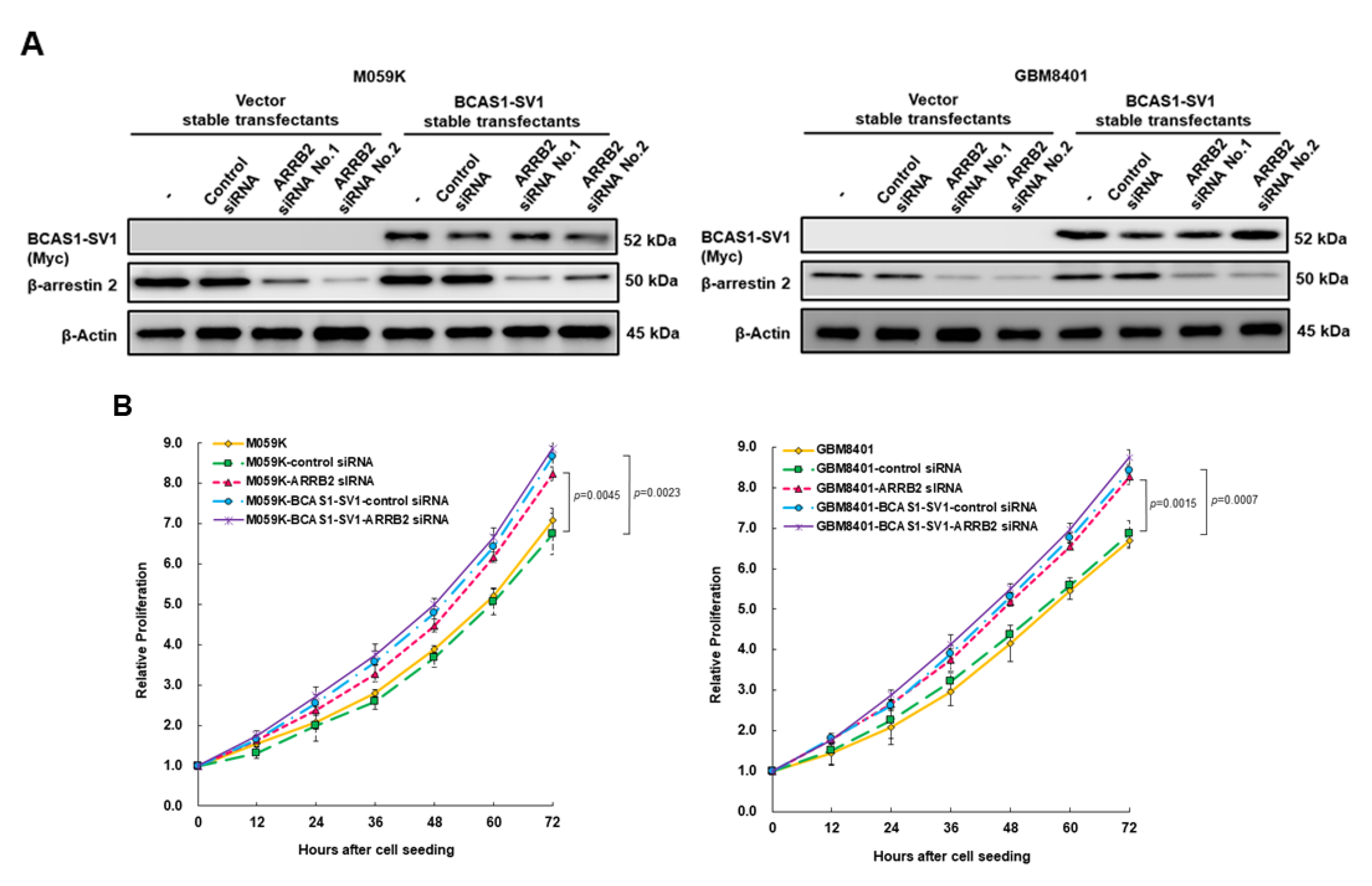Cancers 14 03890 g006a