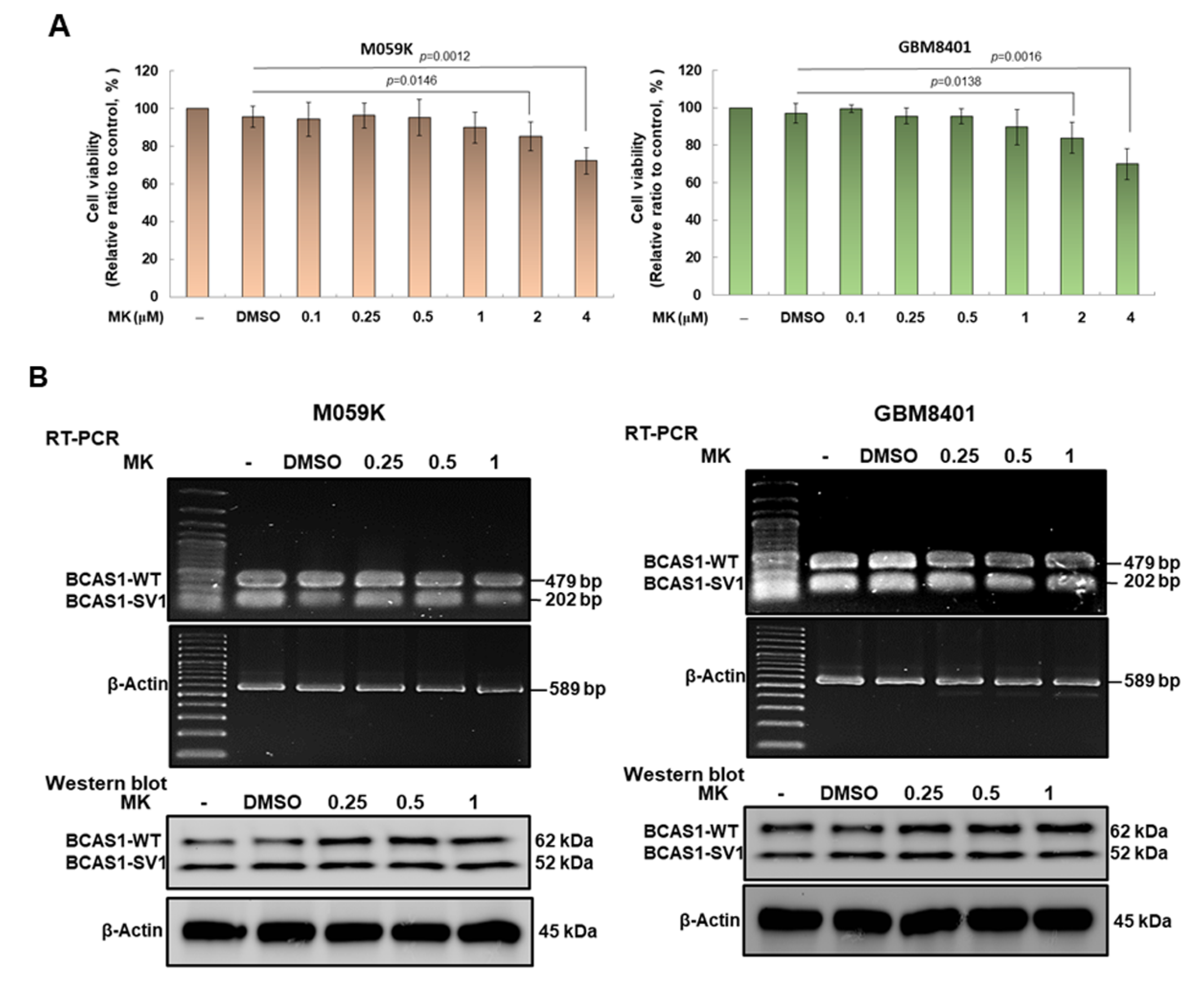 Cancers 14 03890 g008a