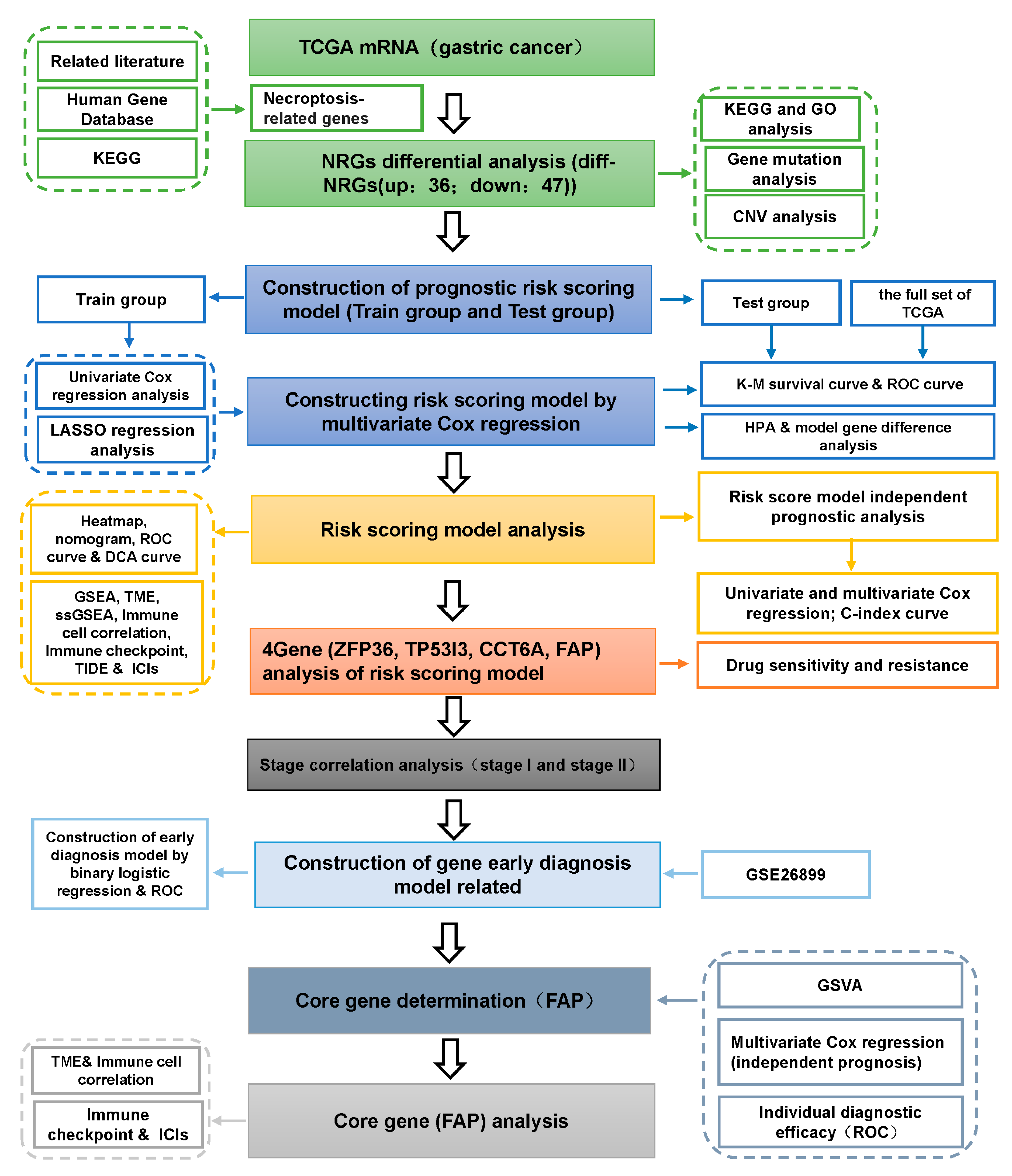 Cancers 14 03891 g001