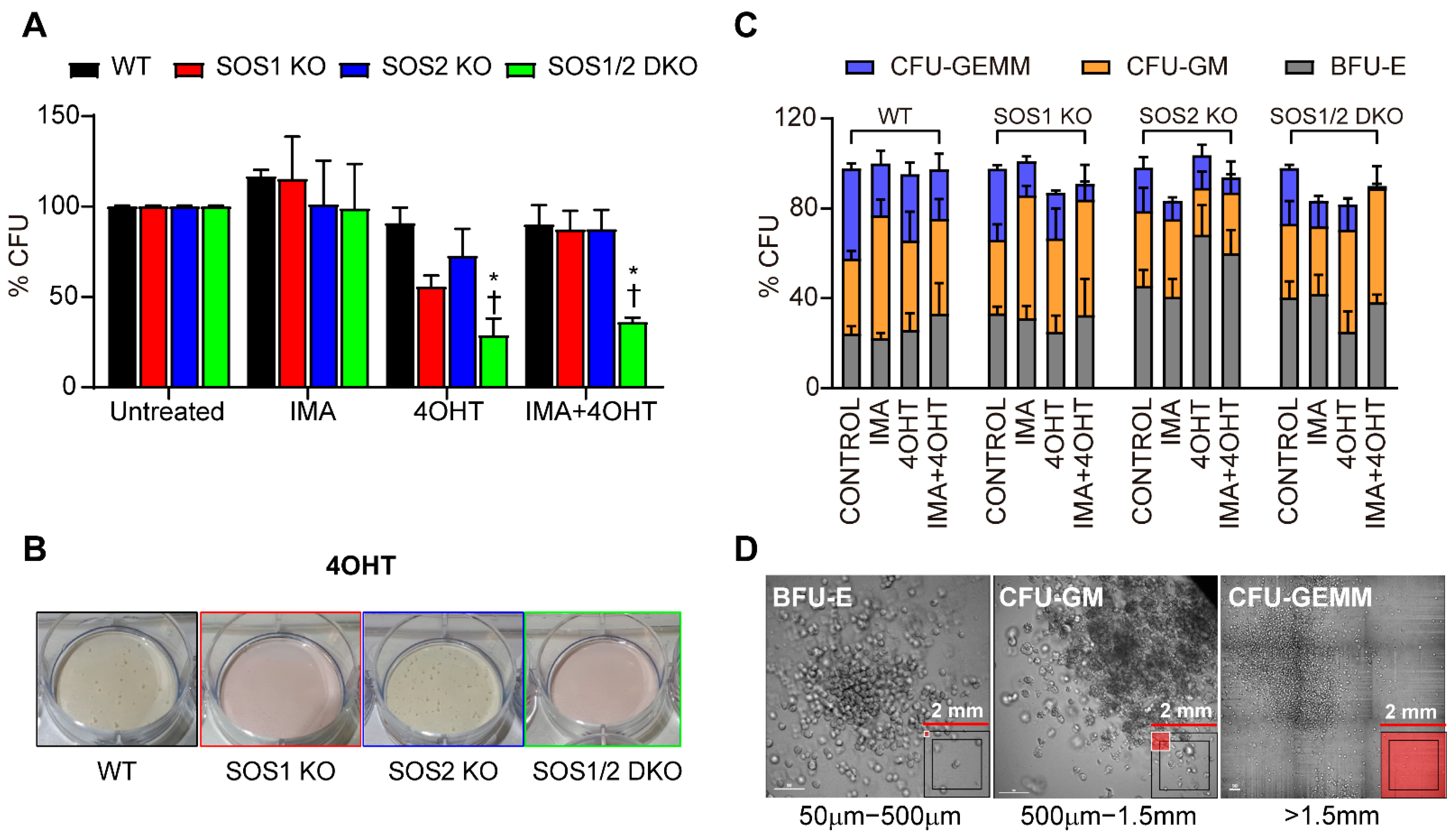 Cancers 14 03893 g005