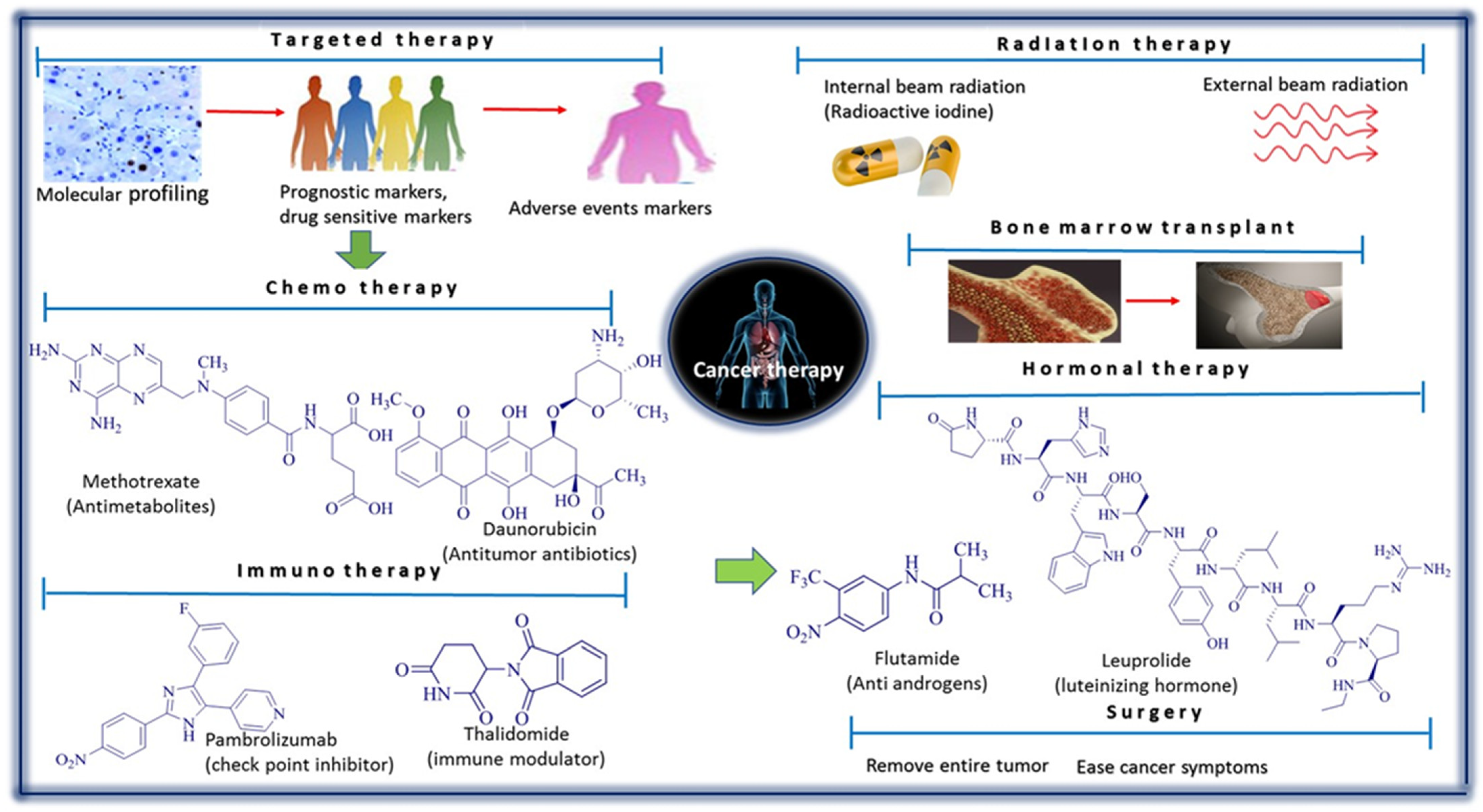 Cancers 14 03898 g001