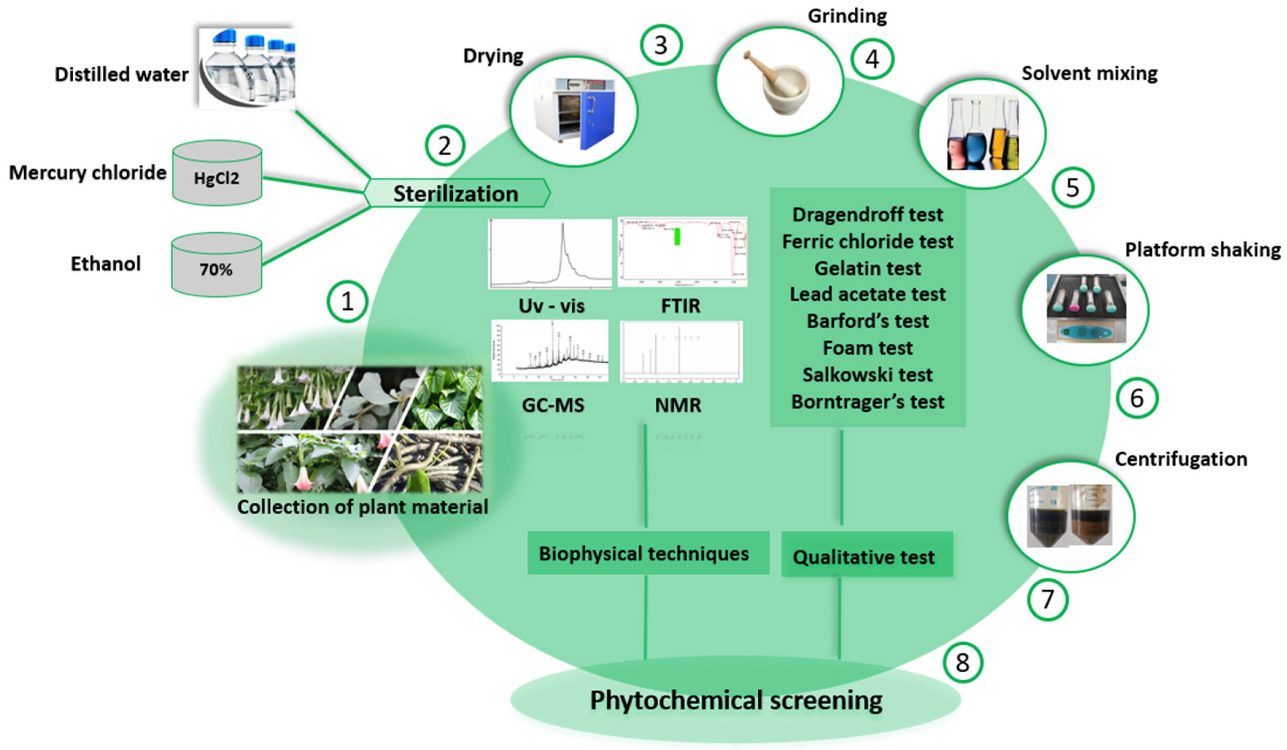 Cancers 14 03898 g004