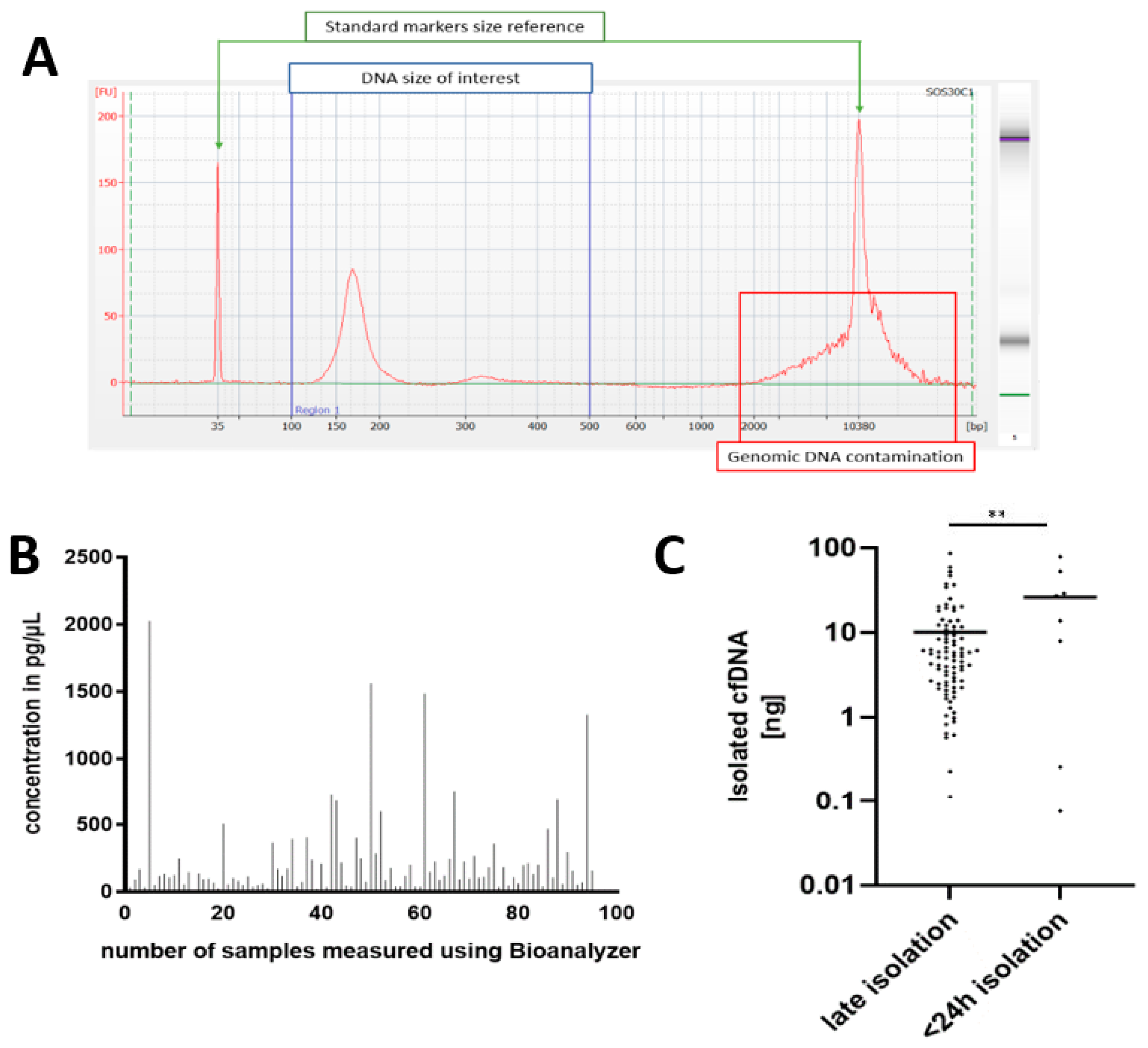 Cancers 14 03902 g002 550