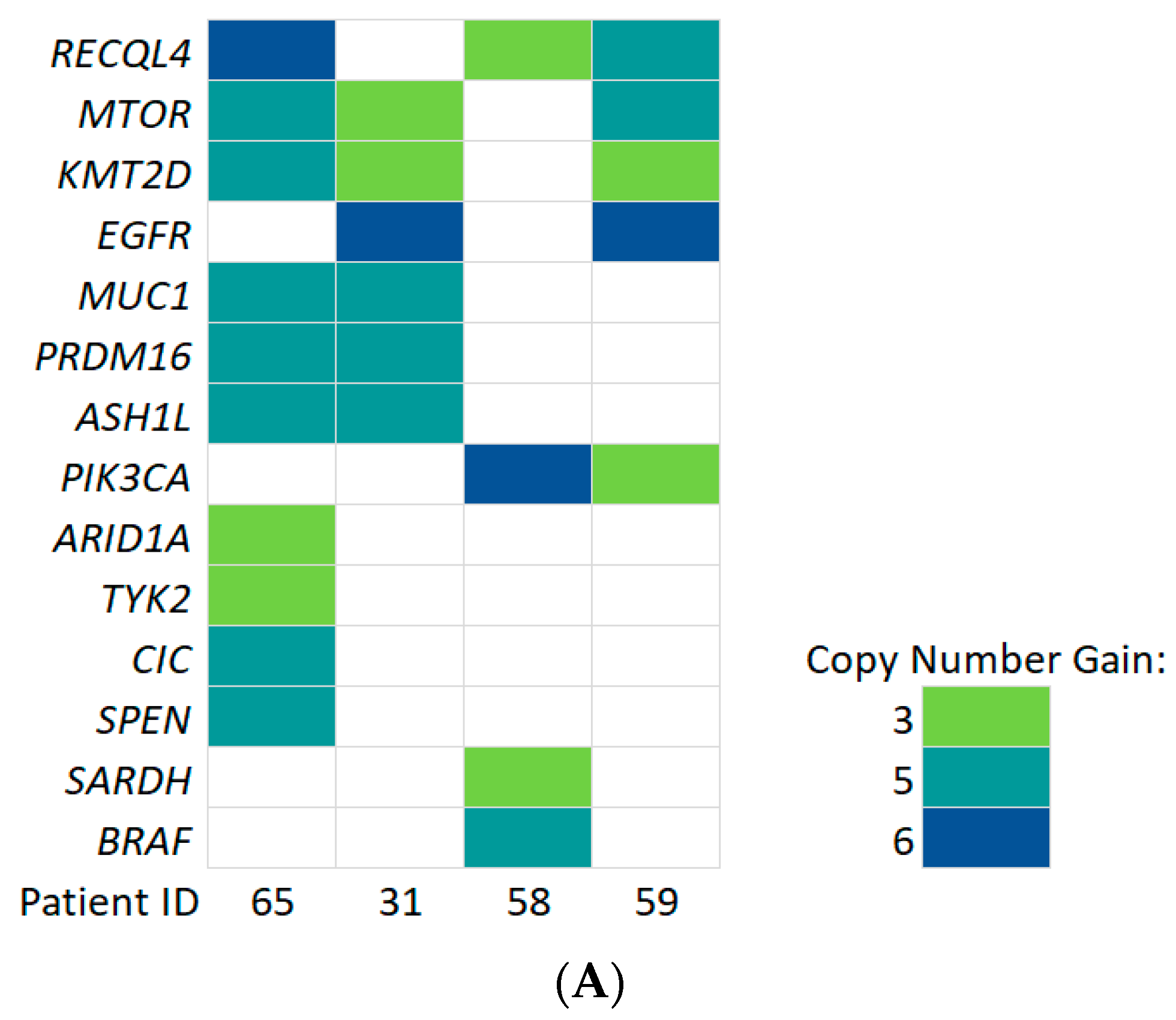 Cancers 14 03902 g008a 550