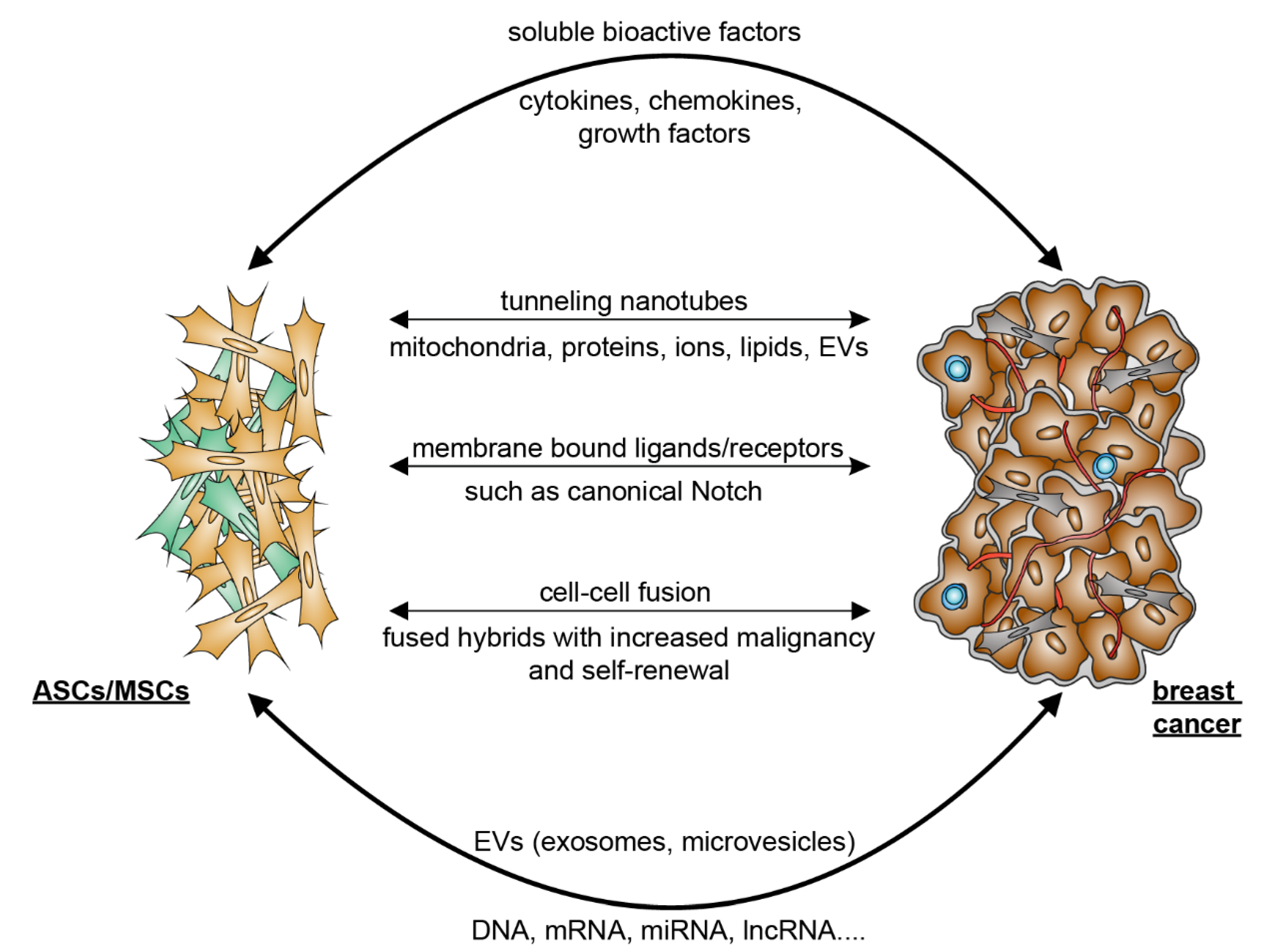 Cancers 14 03908 g001