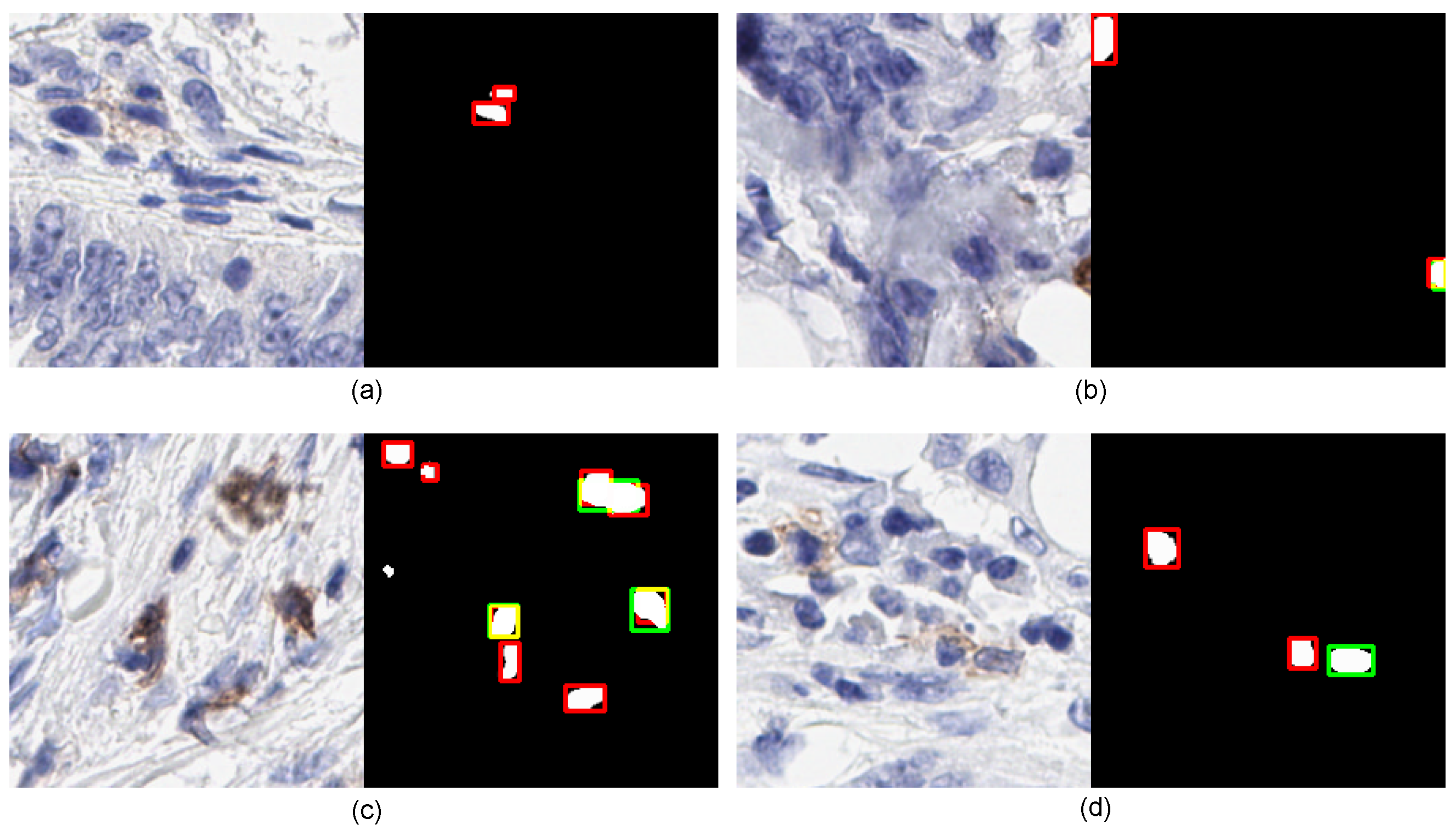 Cancers 14 03910 g007