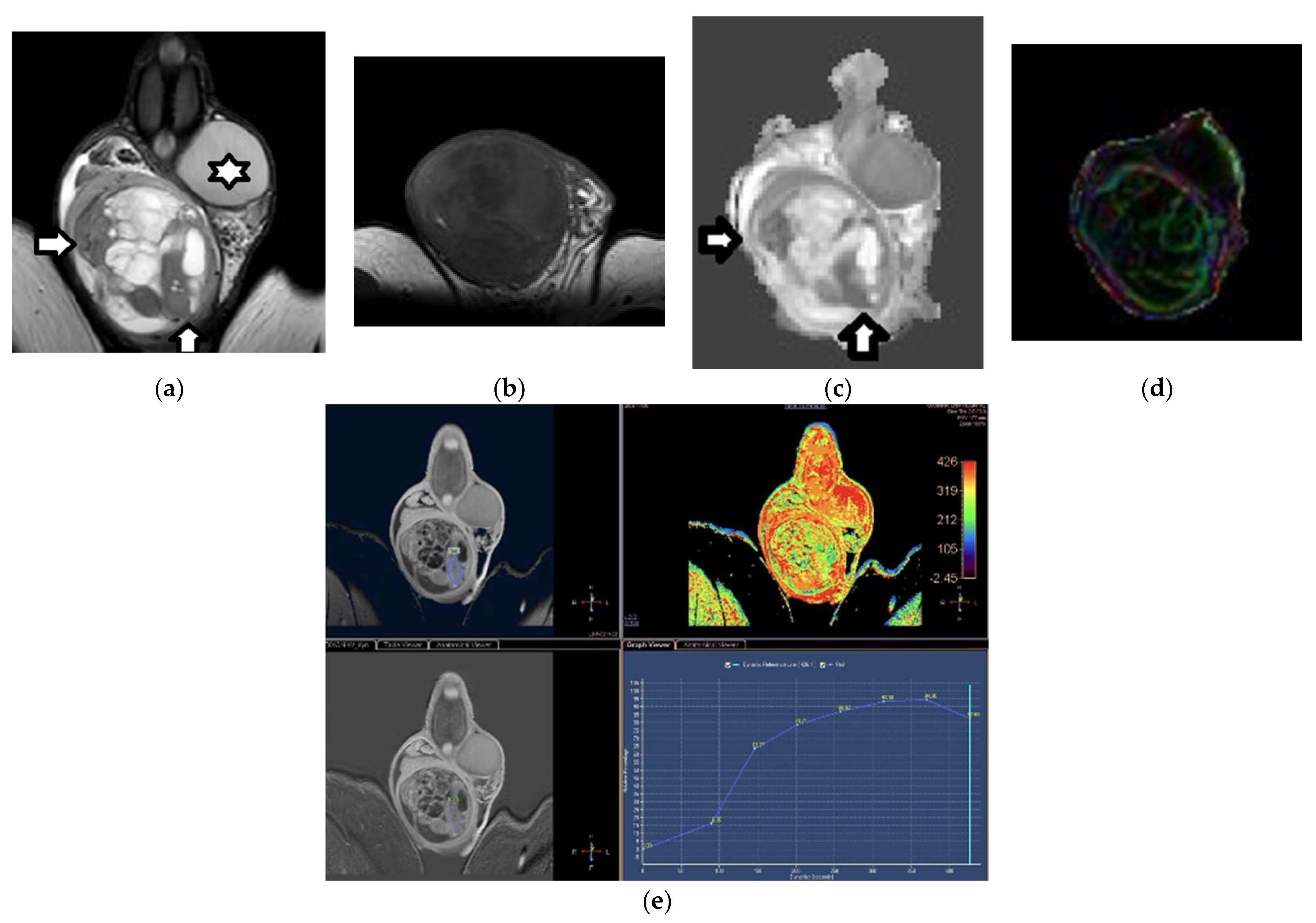 Cancers 14 03912 g004 Cancers 14 03912 g004