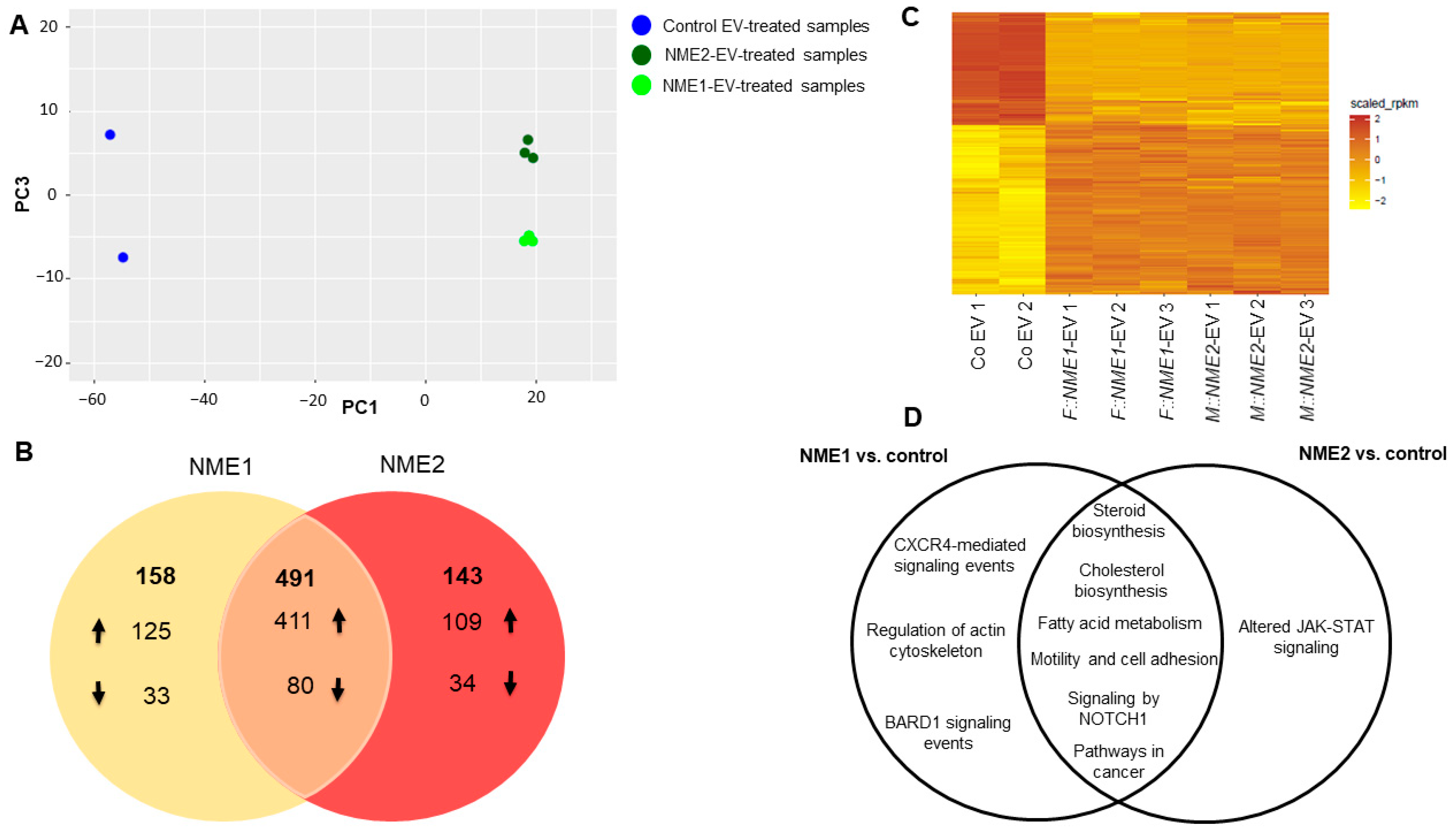 Cancers 14 03913 g003 Cancers 14 03913 g003