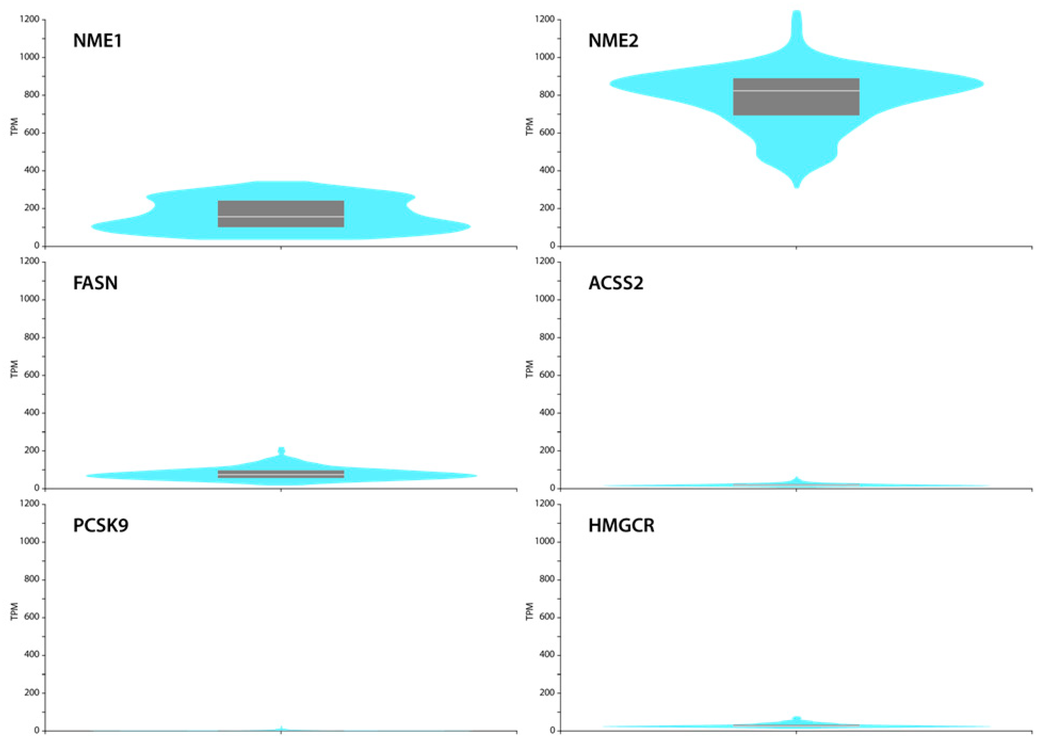 Cancers 14 03913 g007 Cancers 14 03913 g007