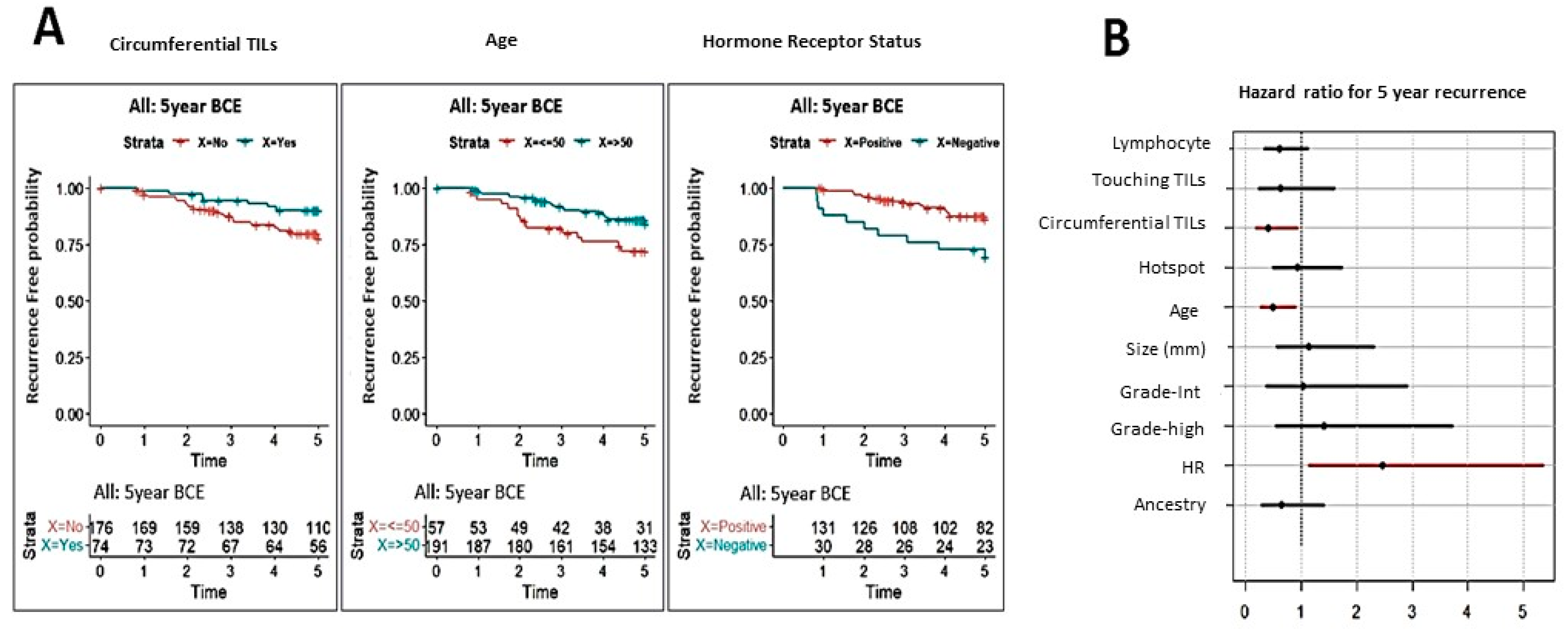 Cancers 14 03916 g002