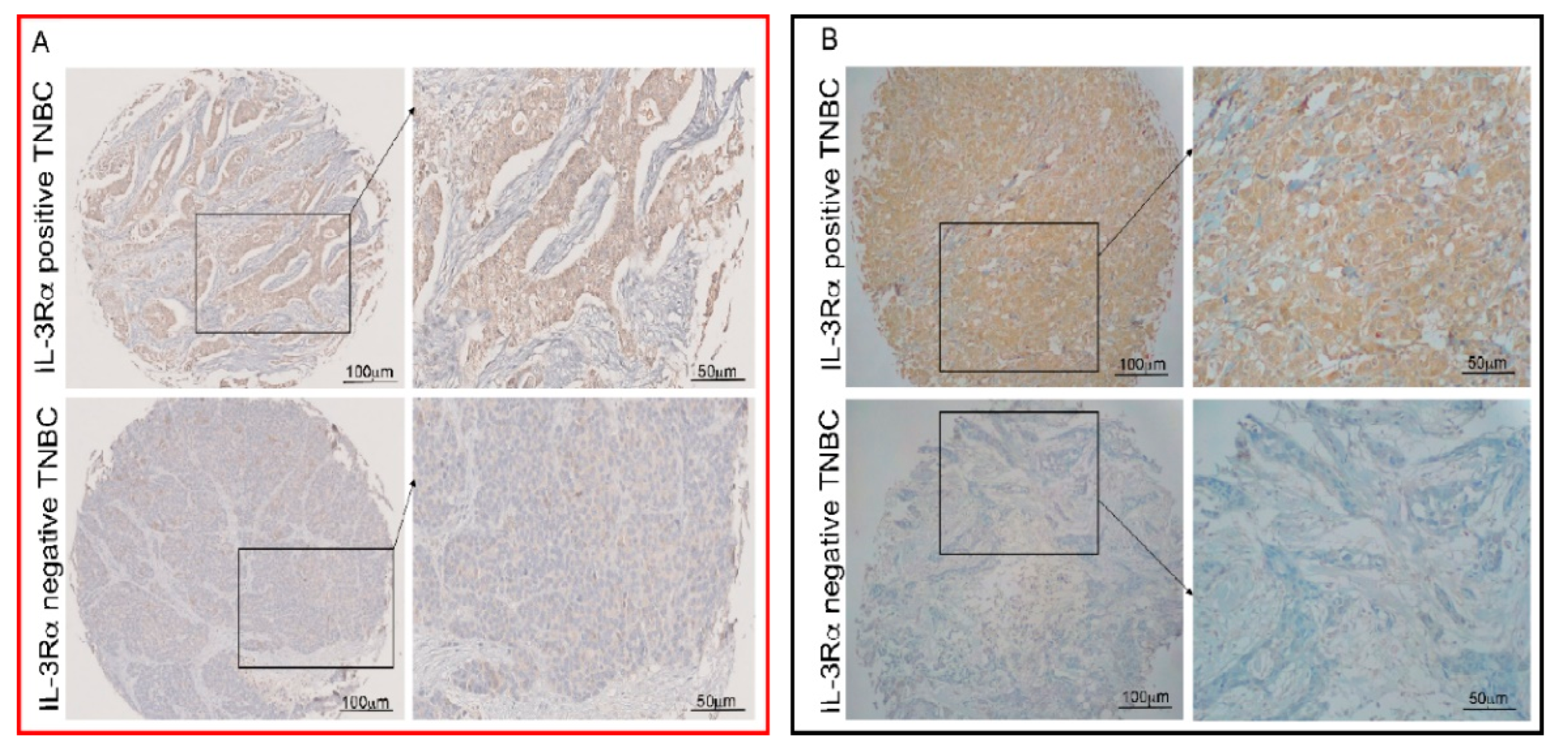 Cancers 14 03918 g001 550