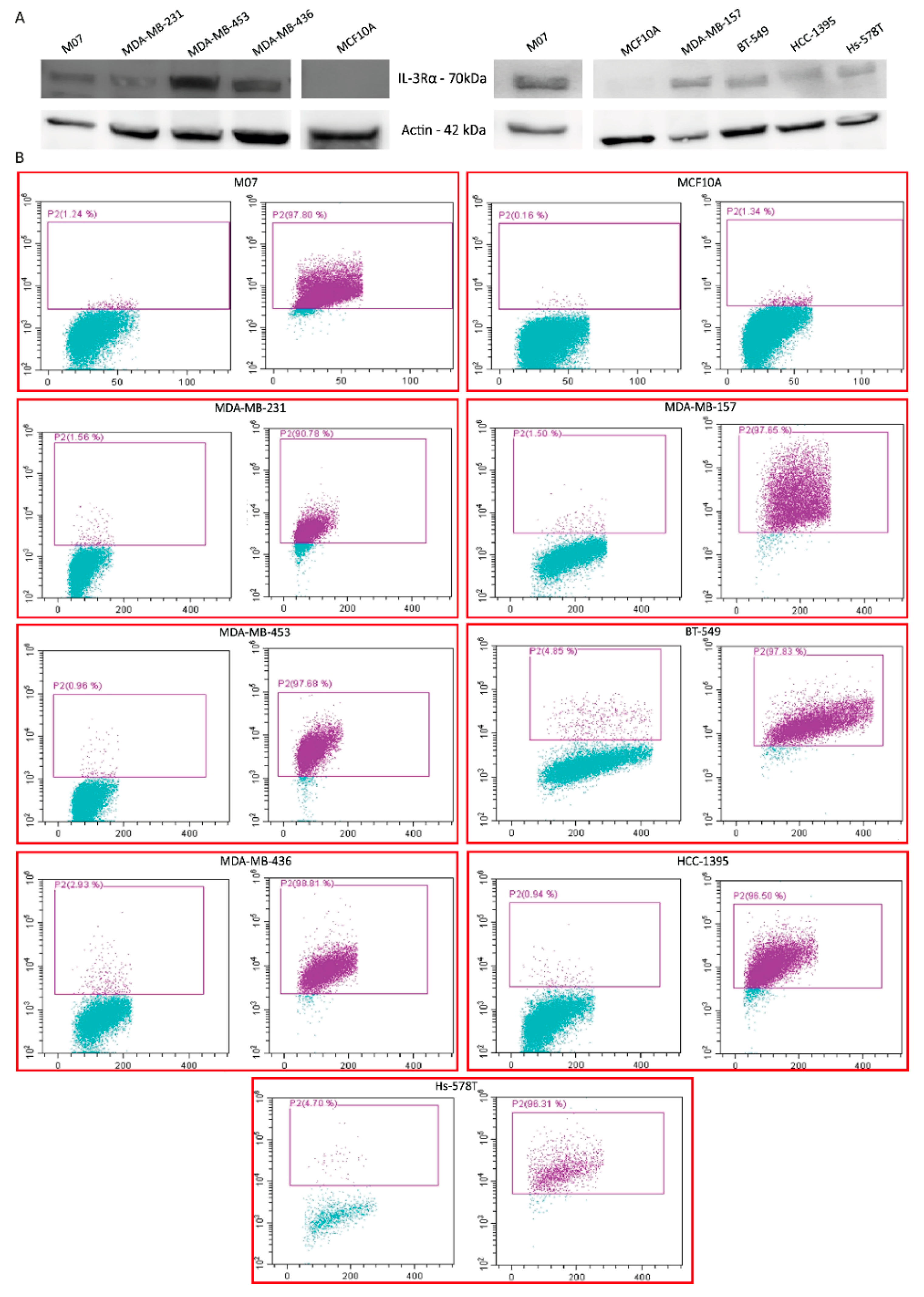 Cancers 14 03918 g003 550