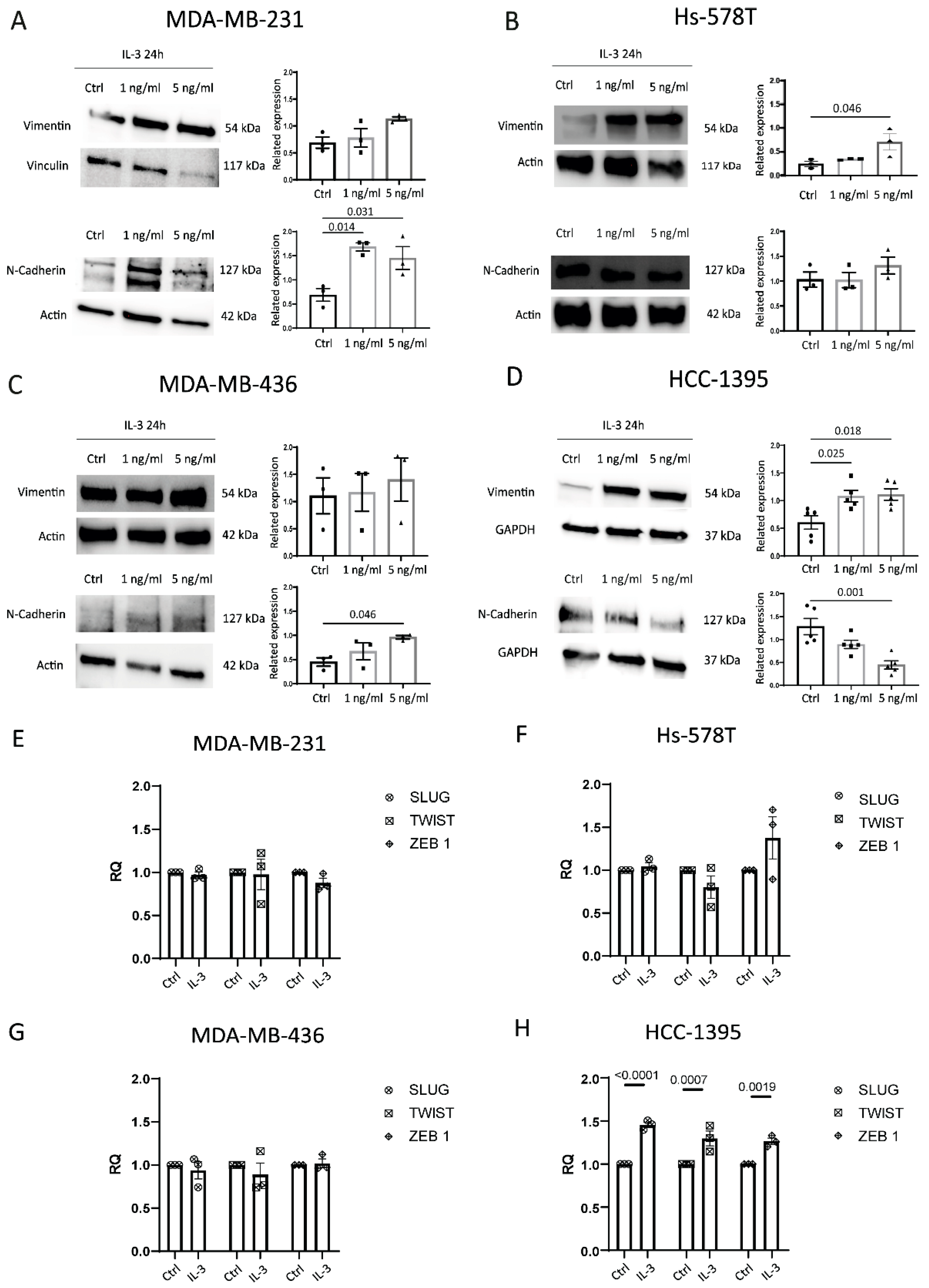 Cancers 14 03918 g004 550