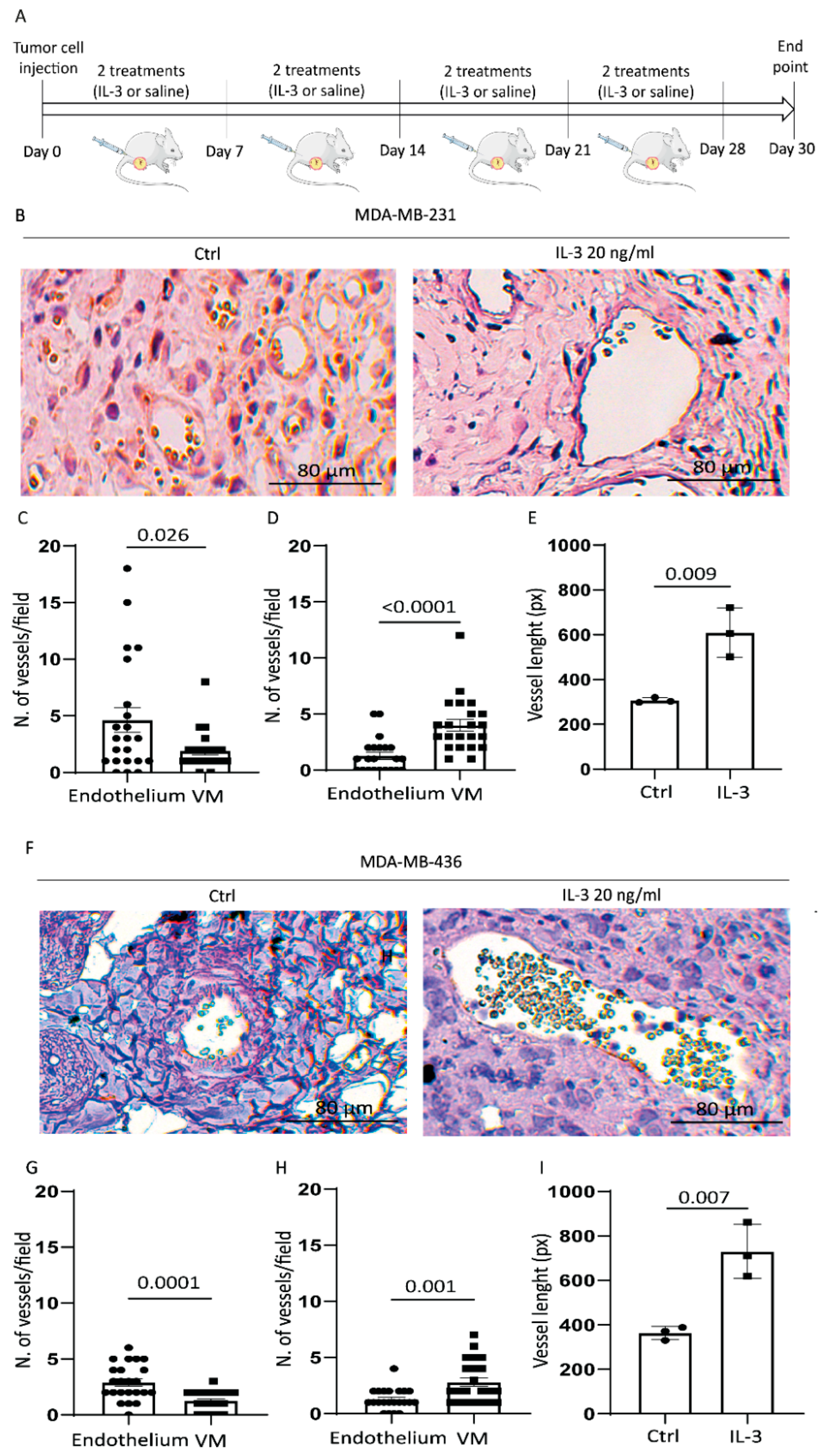 Cancers 14 03918 g006 550
