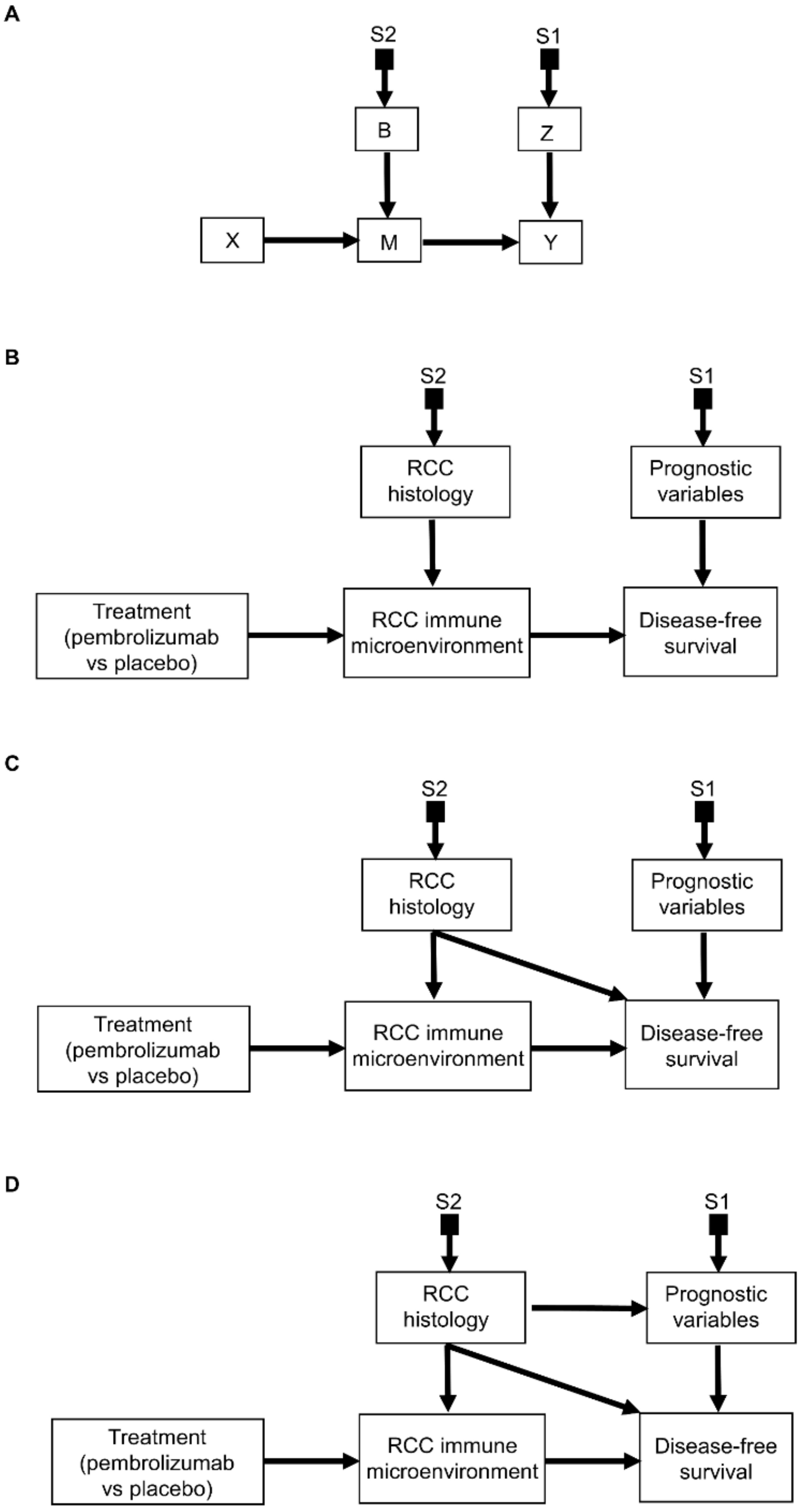 Cancers 14 03923 g008 550
