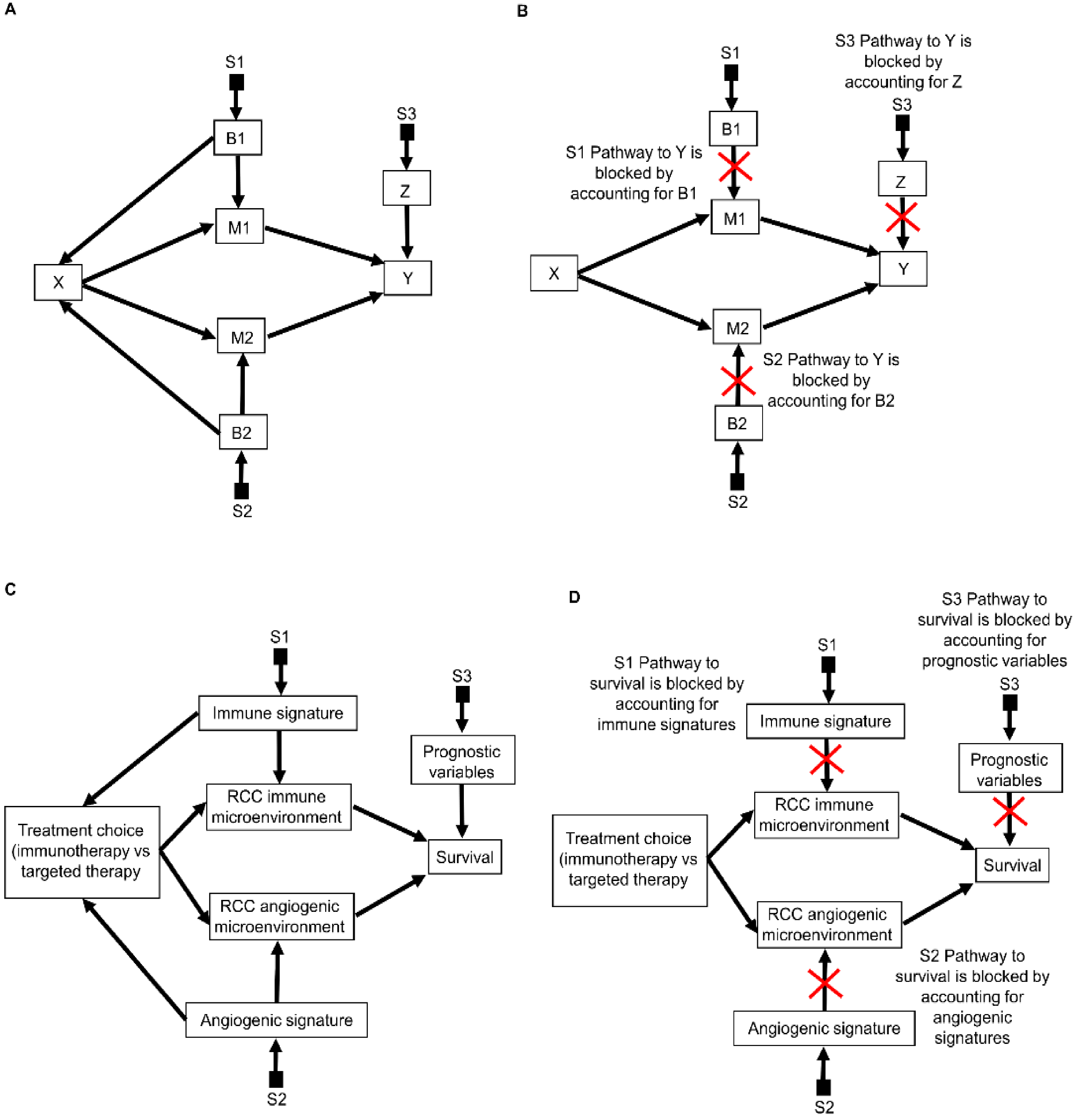 Cancers 14 03923 g009 550