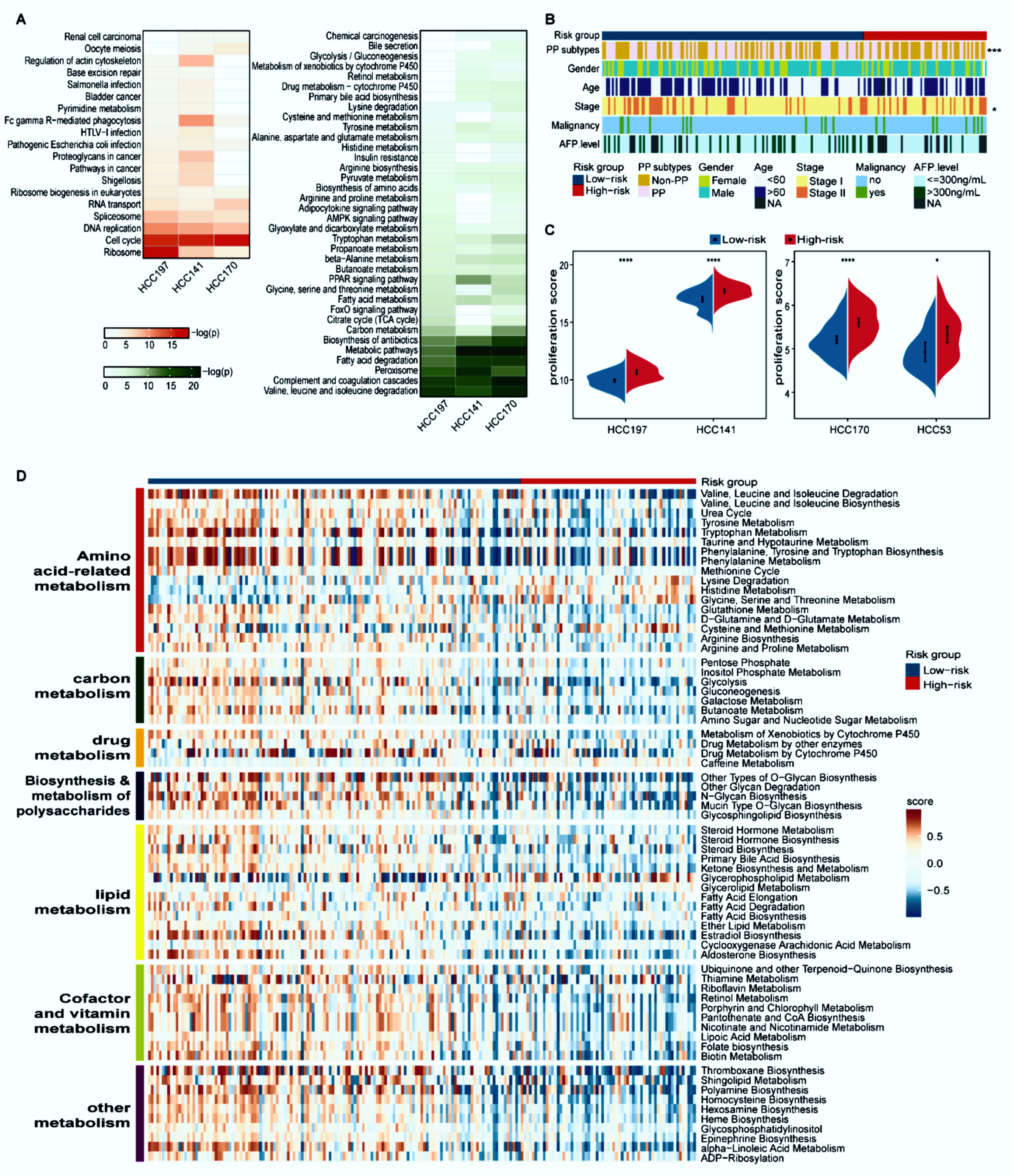 Cancers 14 03957 g003