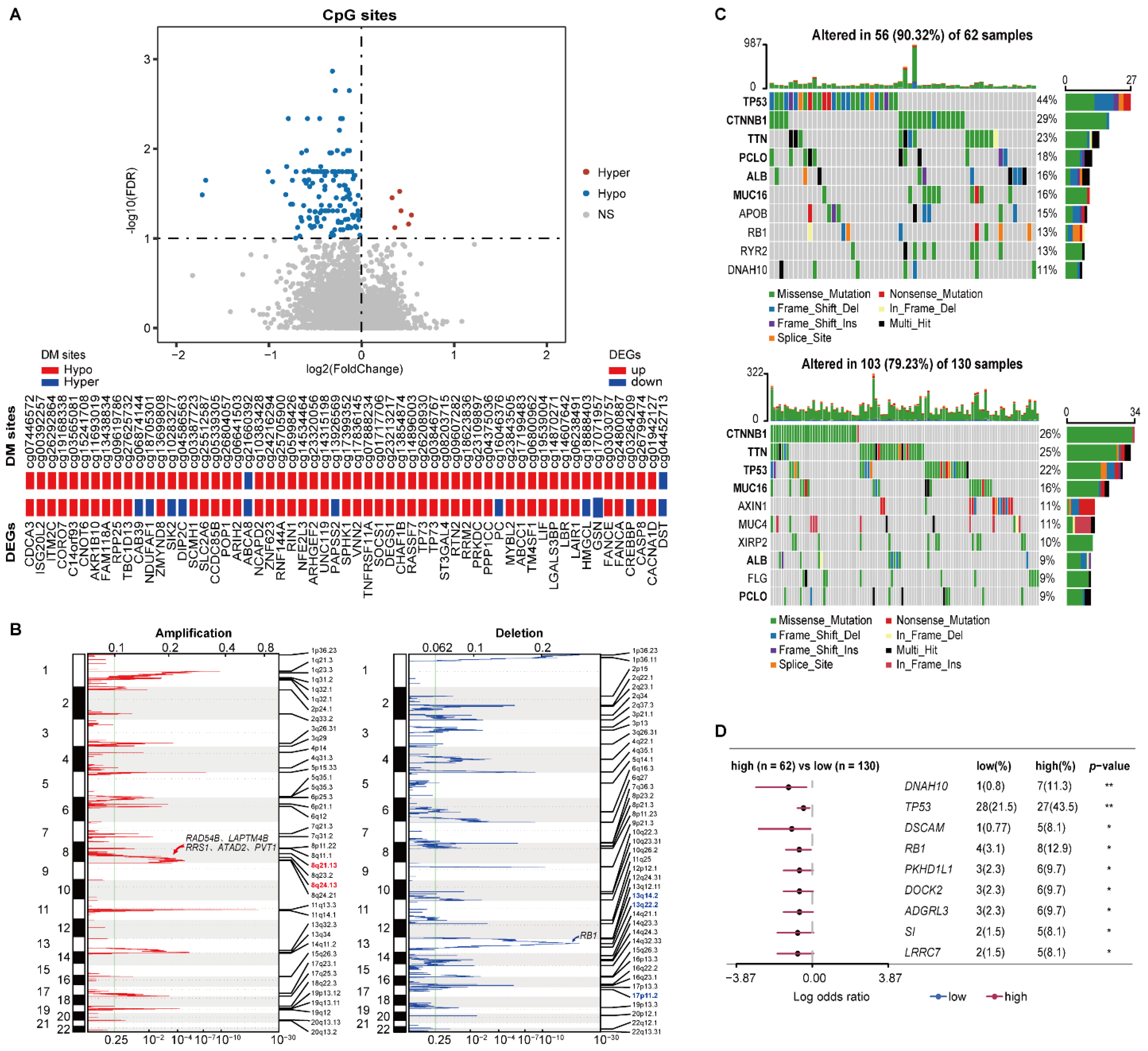 Cancers 14 03957 g004
