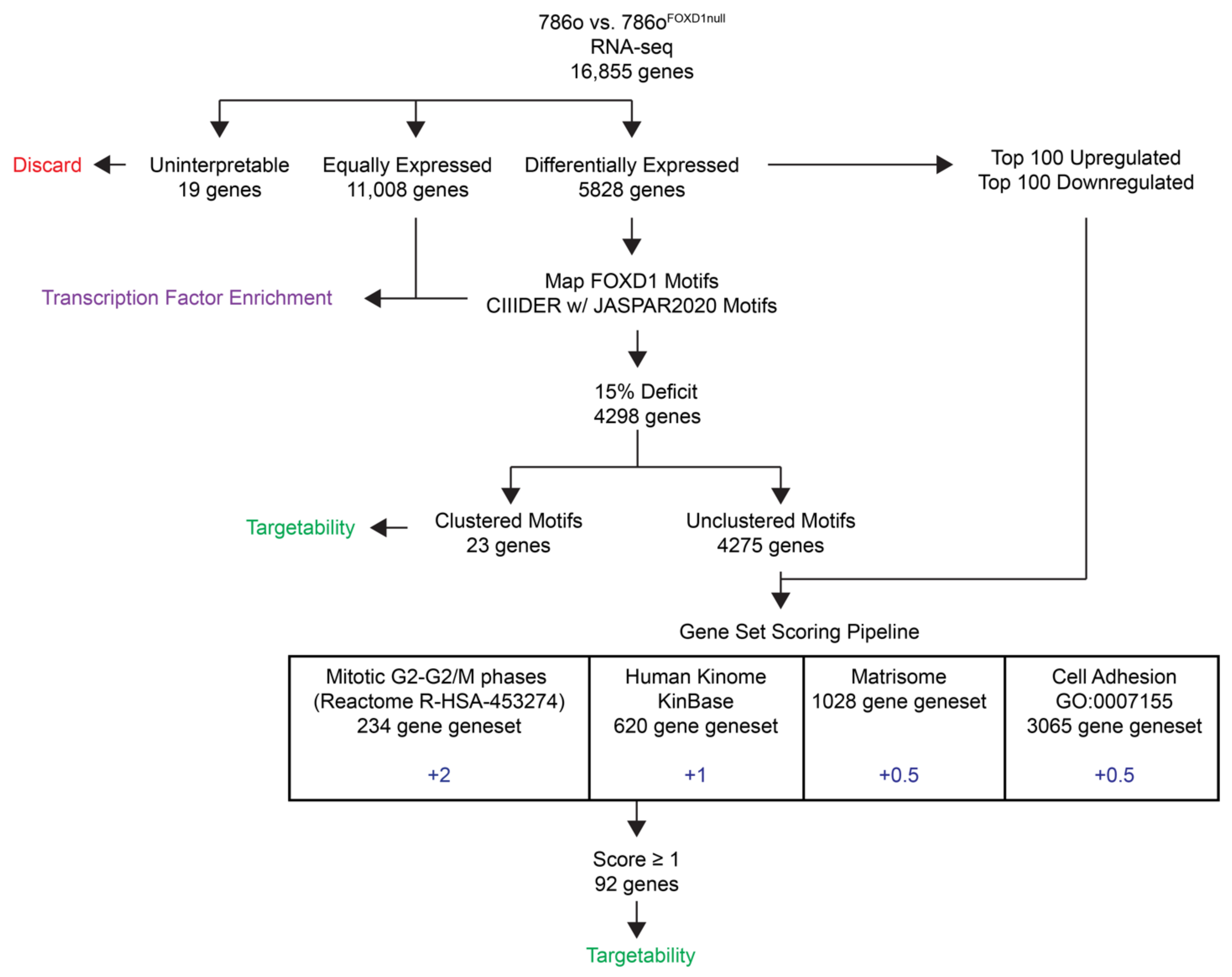 Cancers 14 03958 g001 Cancers 14 03958 g001