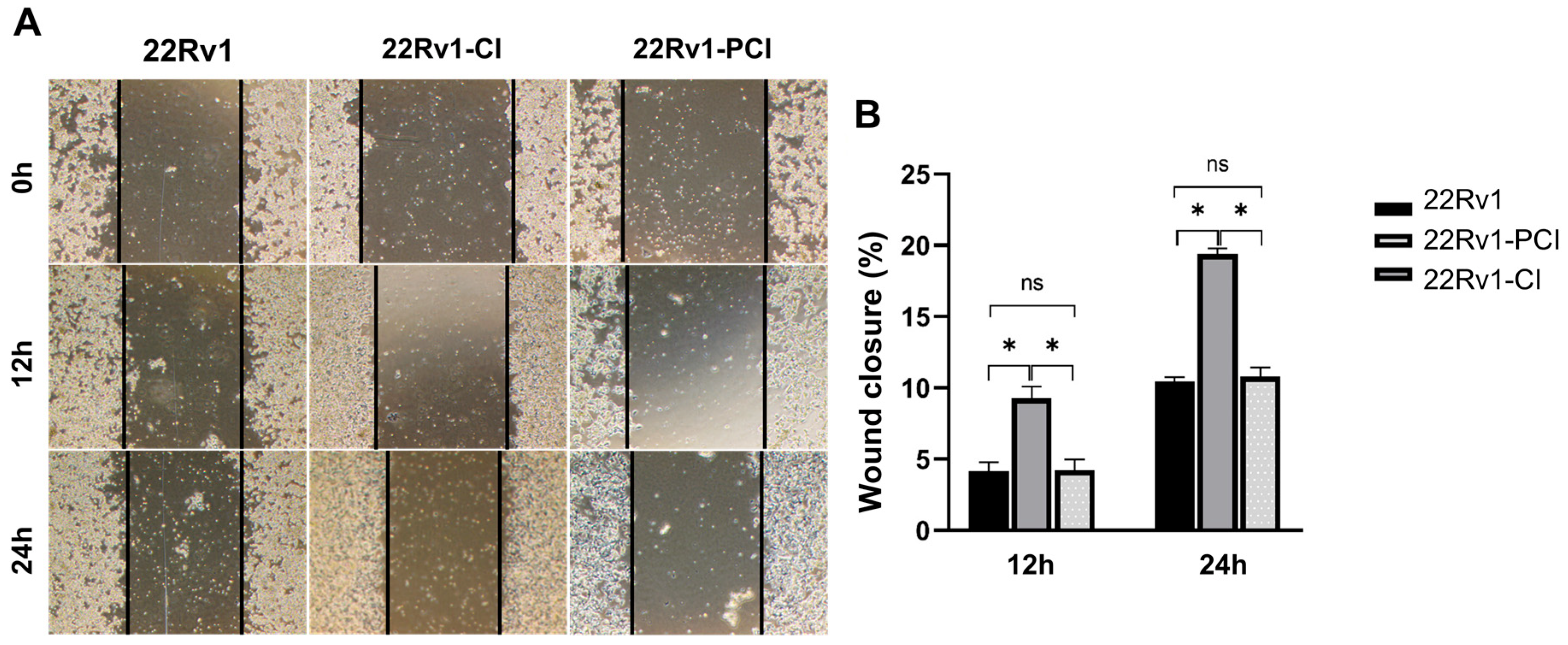 Cancers 14 03959 g003
