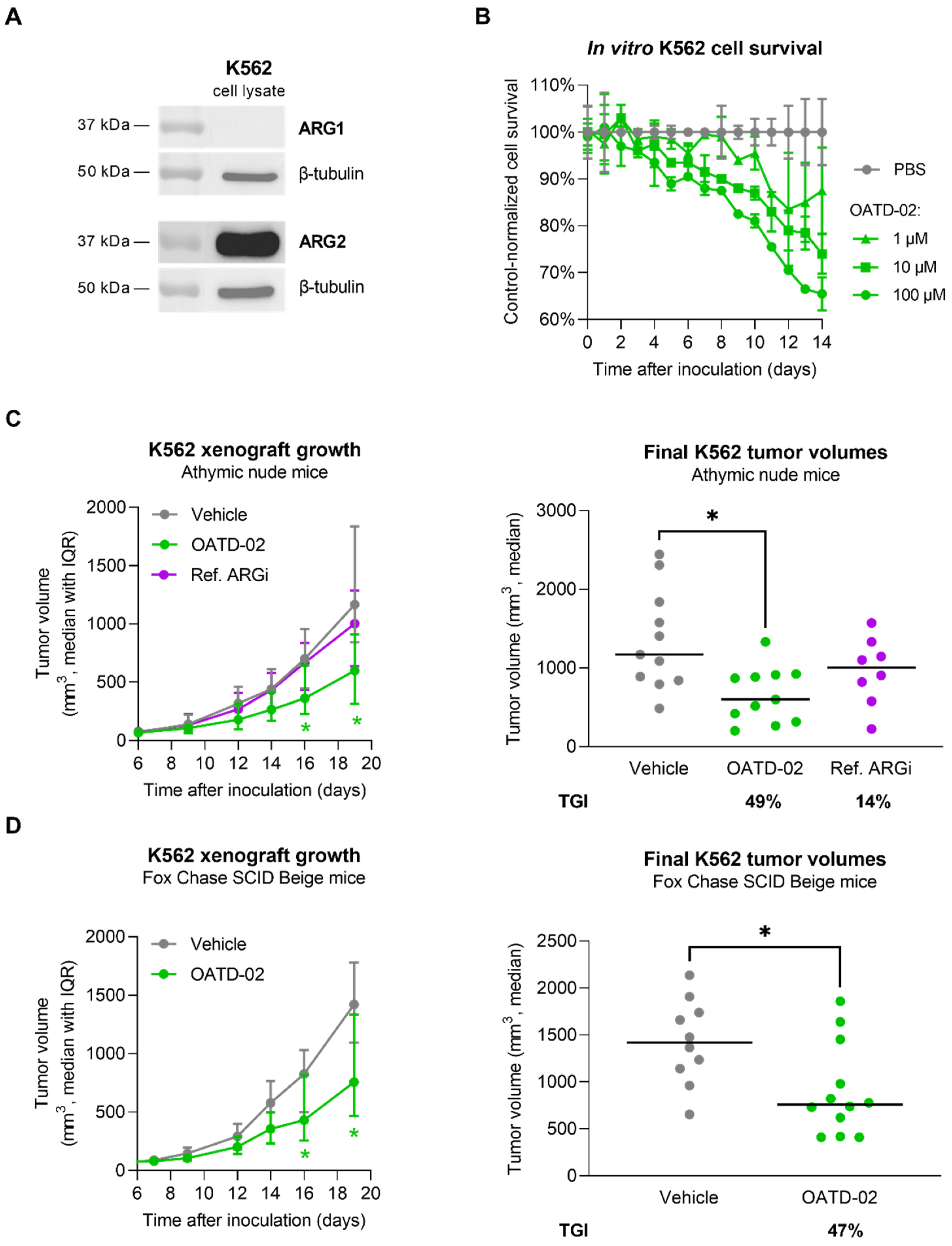 Cancers 14 03967 g005 Cancers 14 03967 g005
