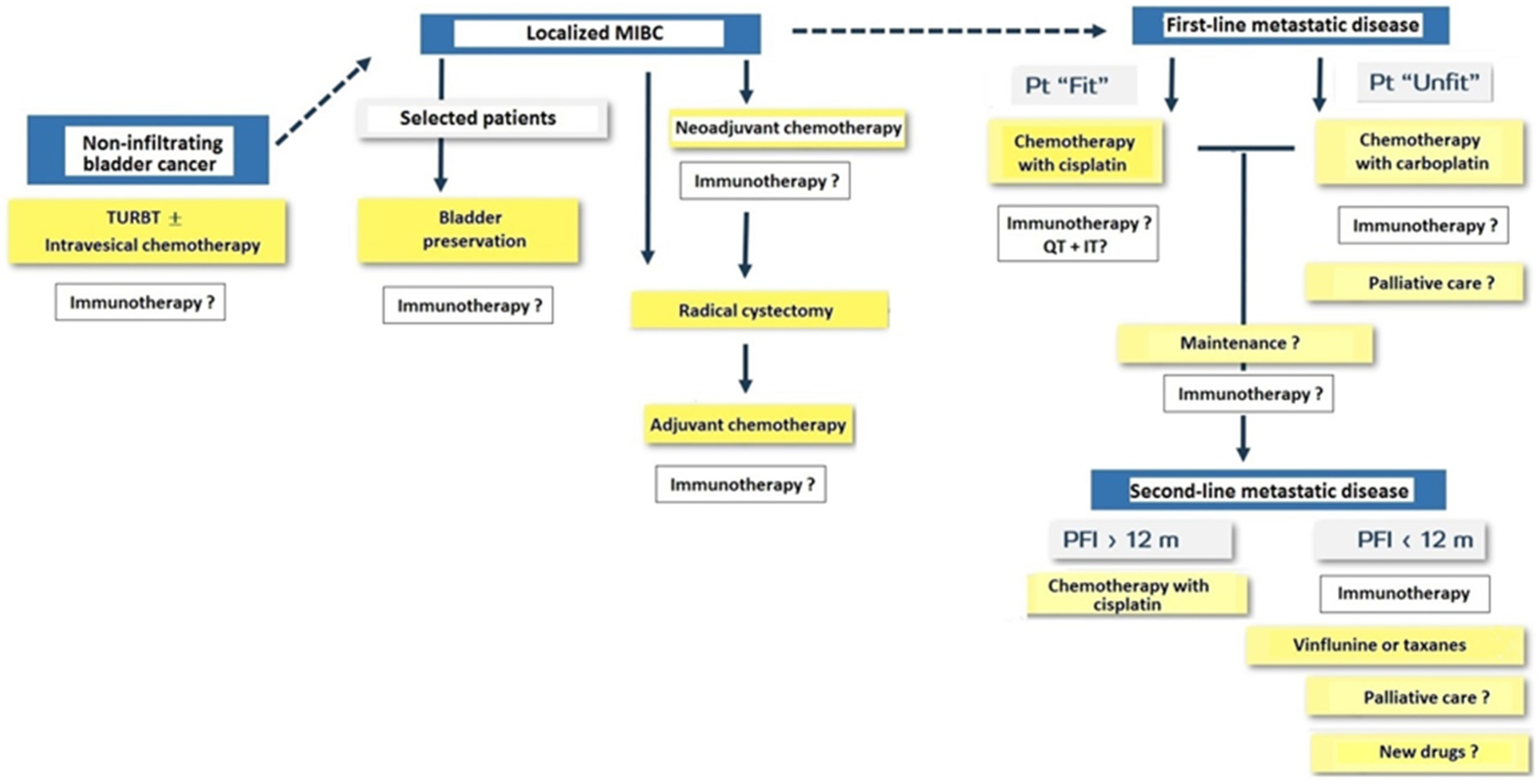 Cancers 14 03968 g007 550