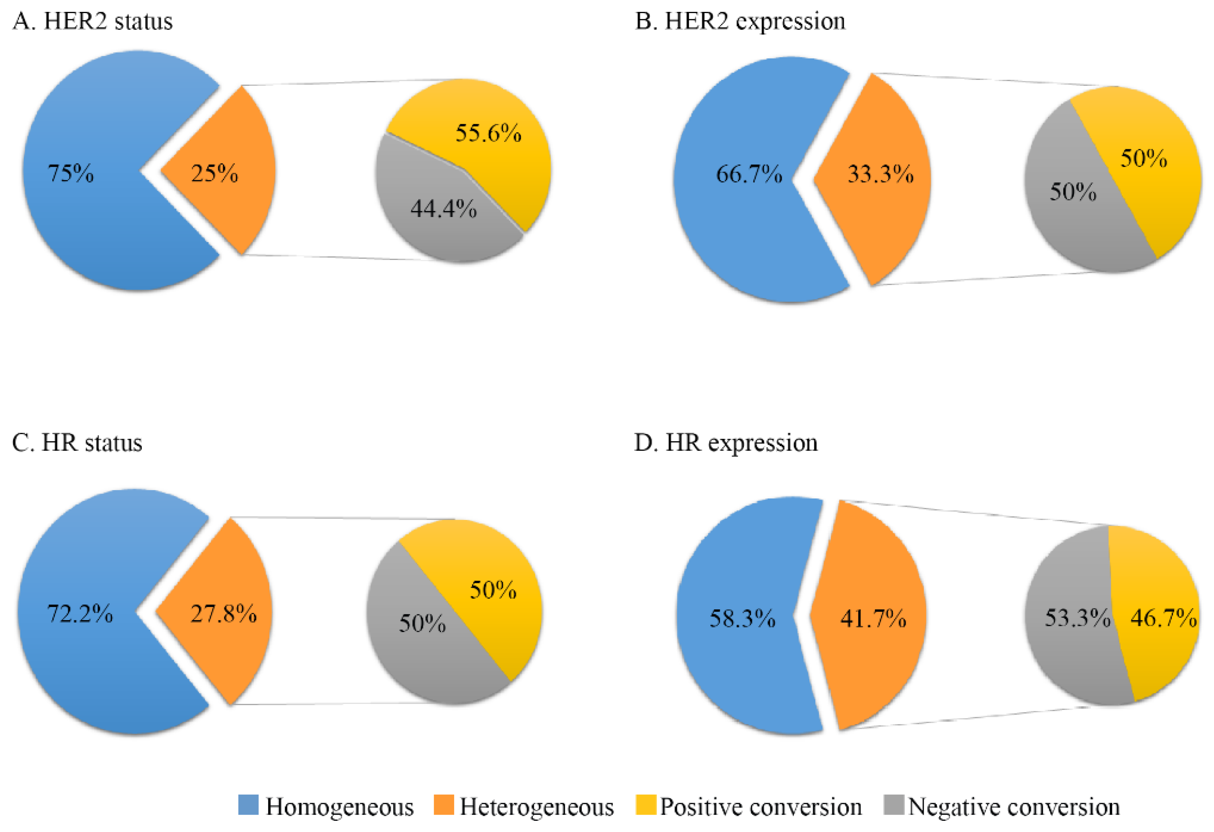 Noninvasive assessment of characteristics of novel anti-HER2