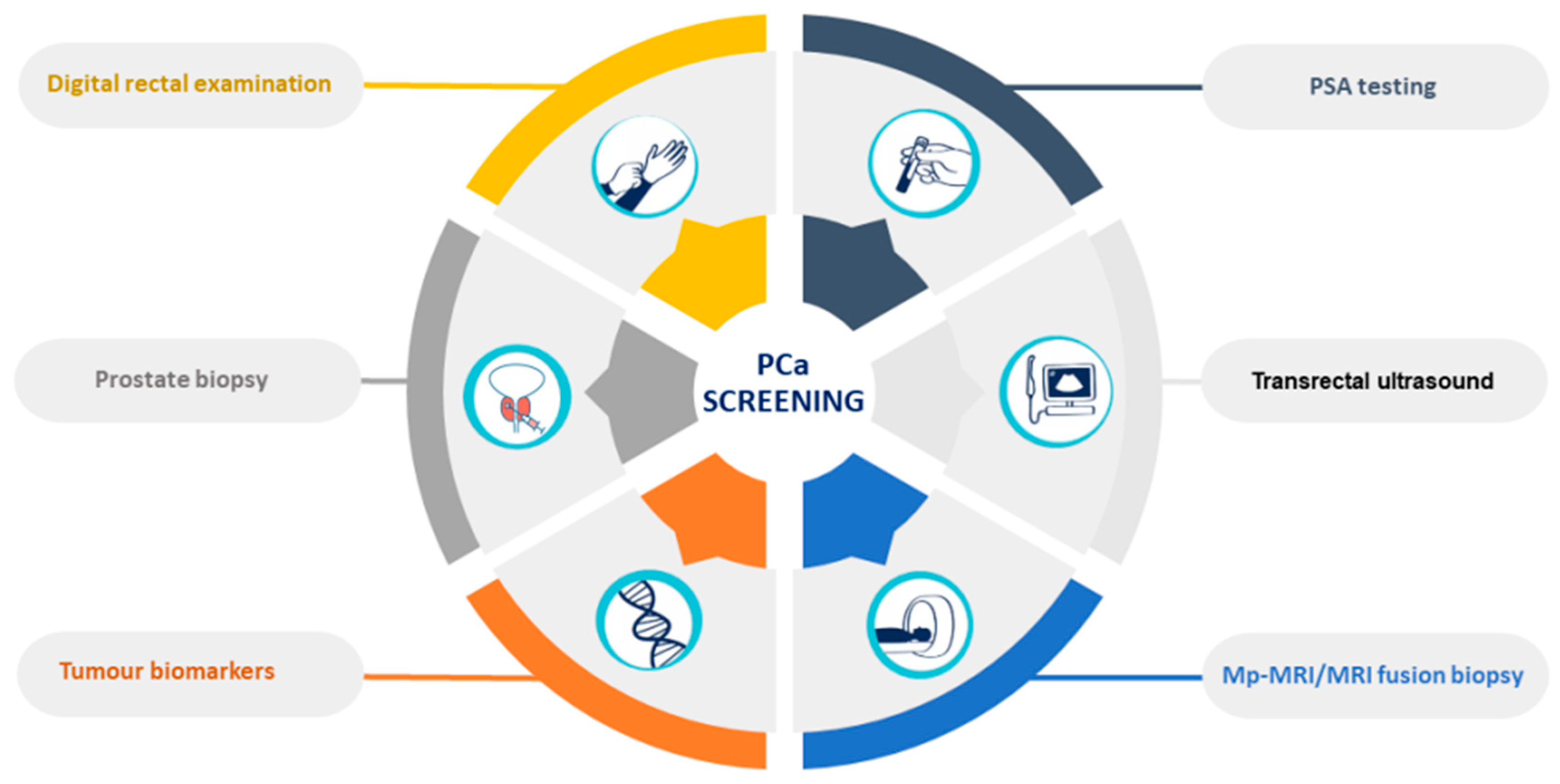 Cancers 14 03982 g001 550