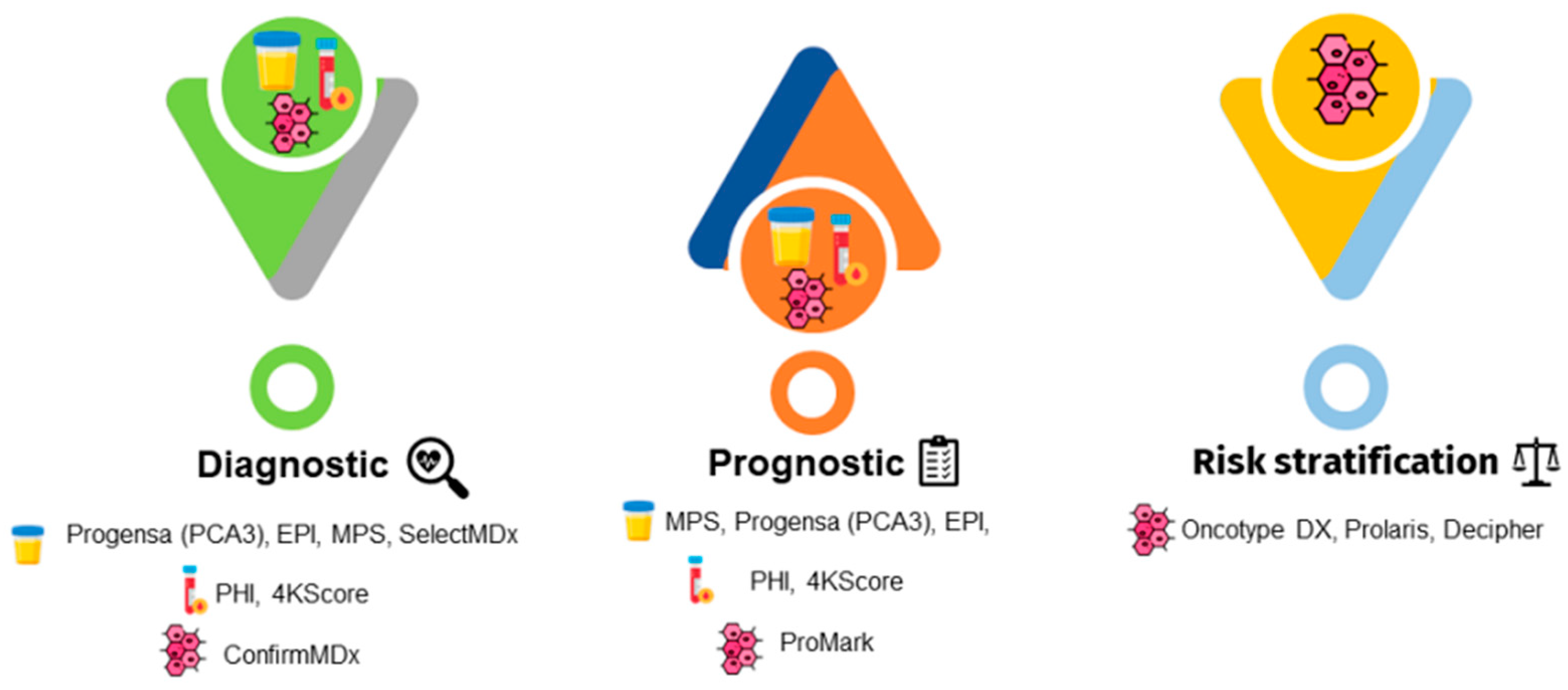 Cancers 14 03982 g002 550