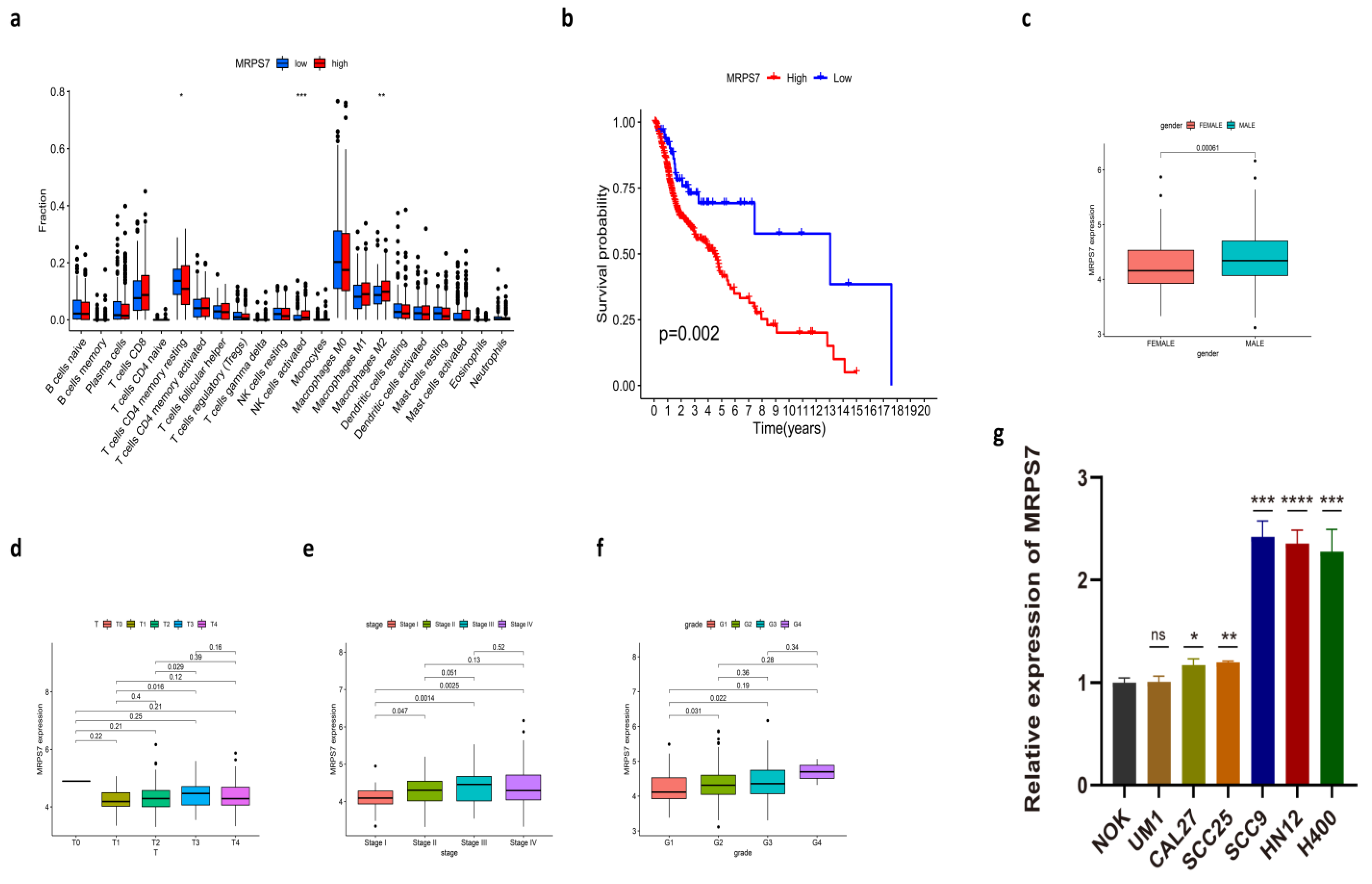 Cancers 14 03986 g007