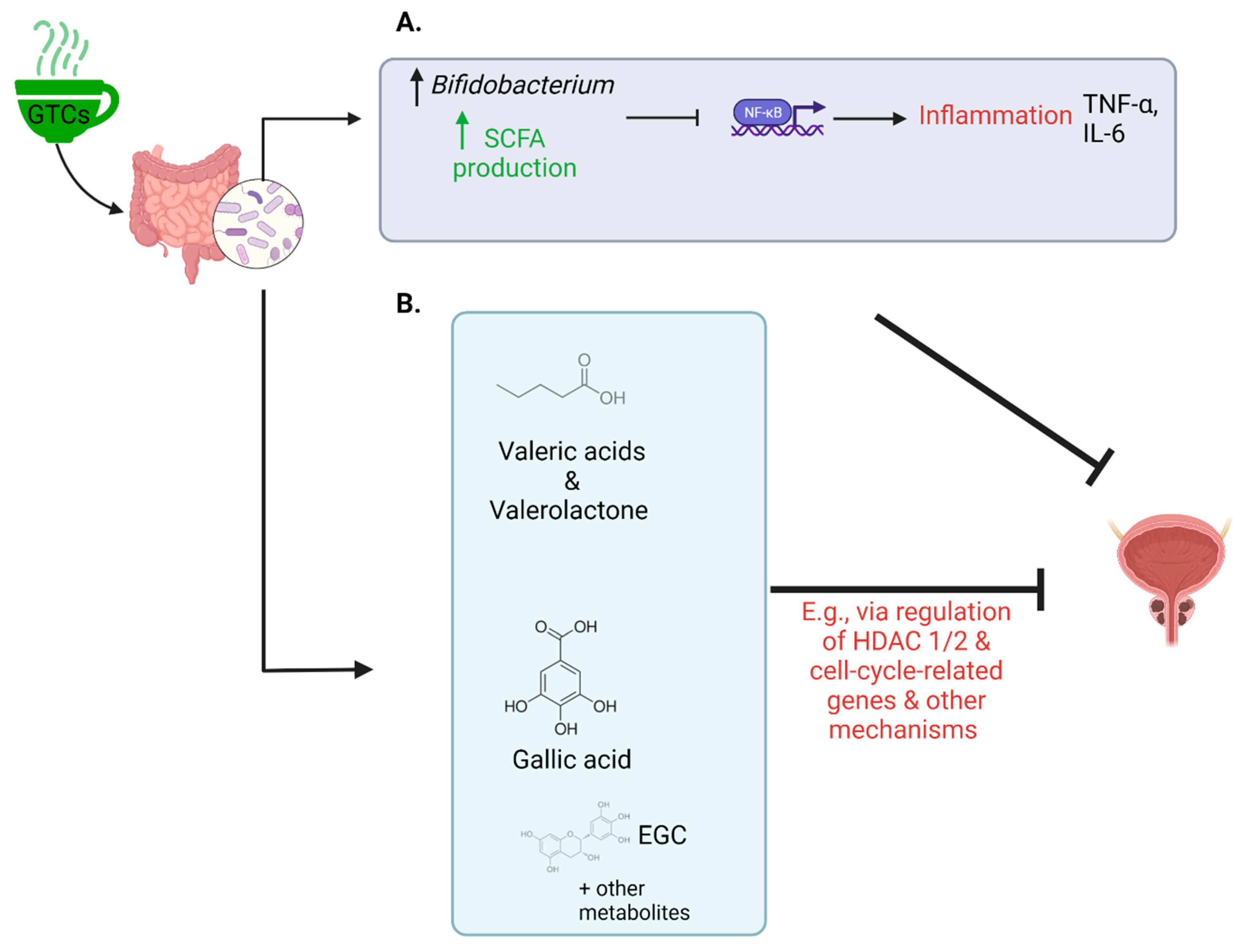 Cancers 14 03988 g002 Cancers 14 03988 g002
