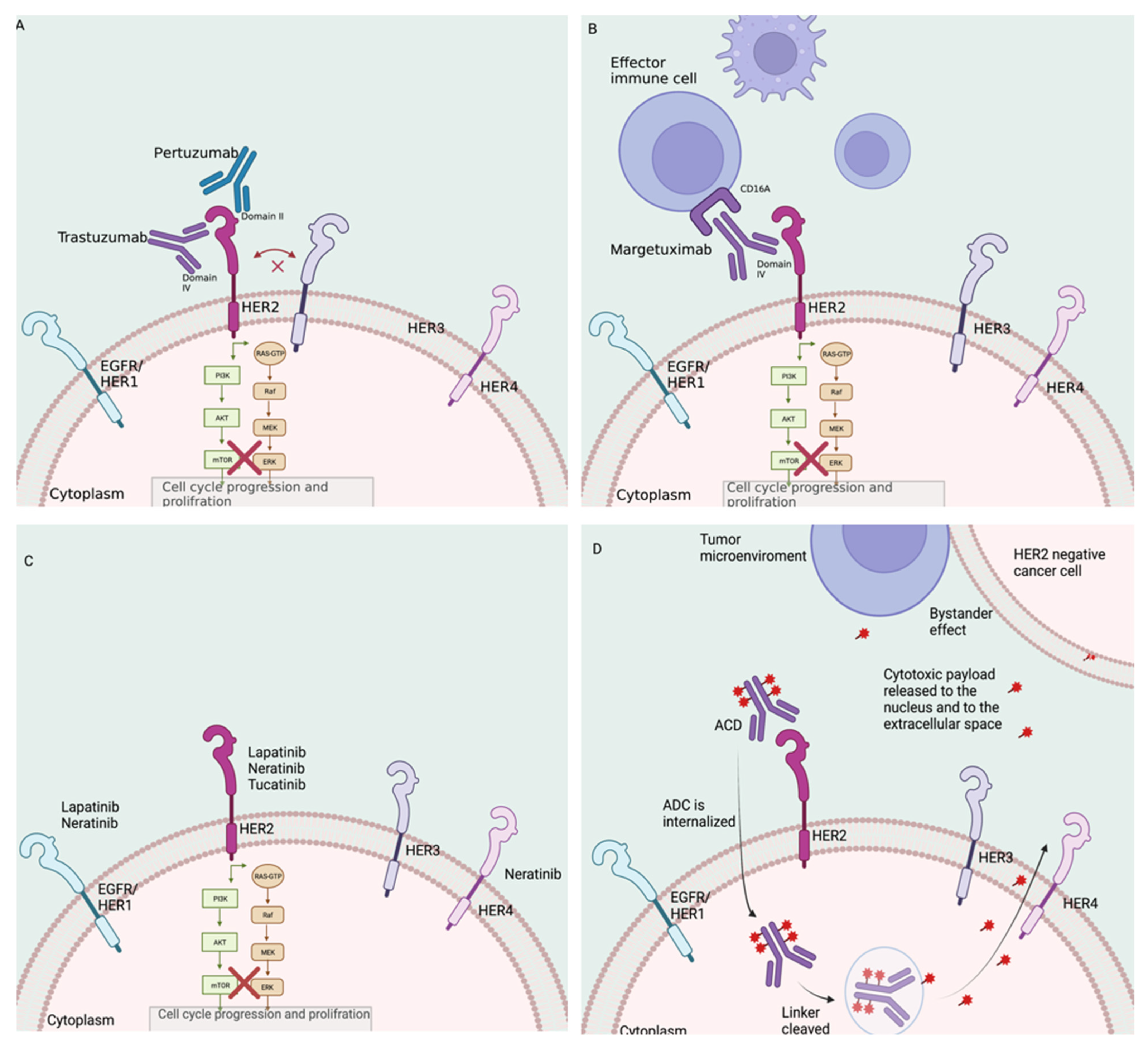 Cancers 14 03996 g001 550