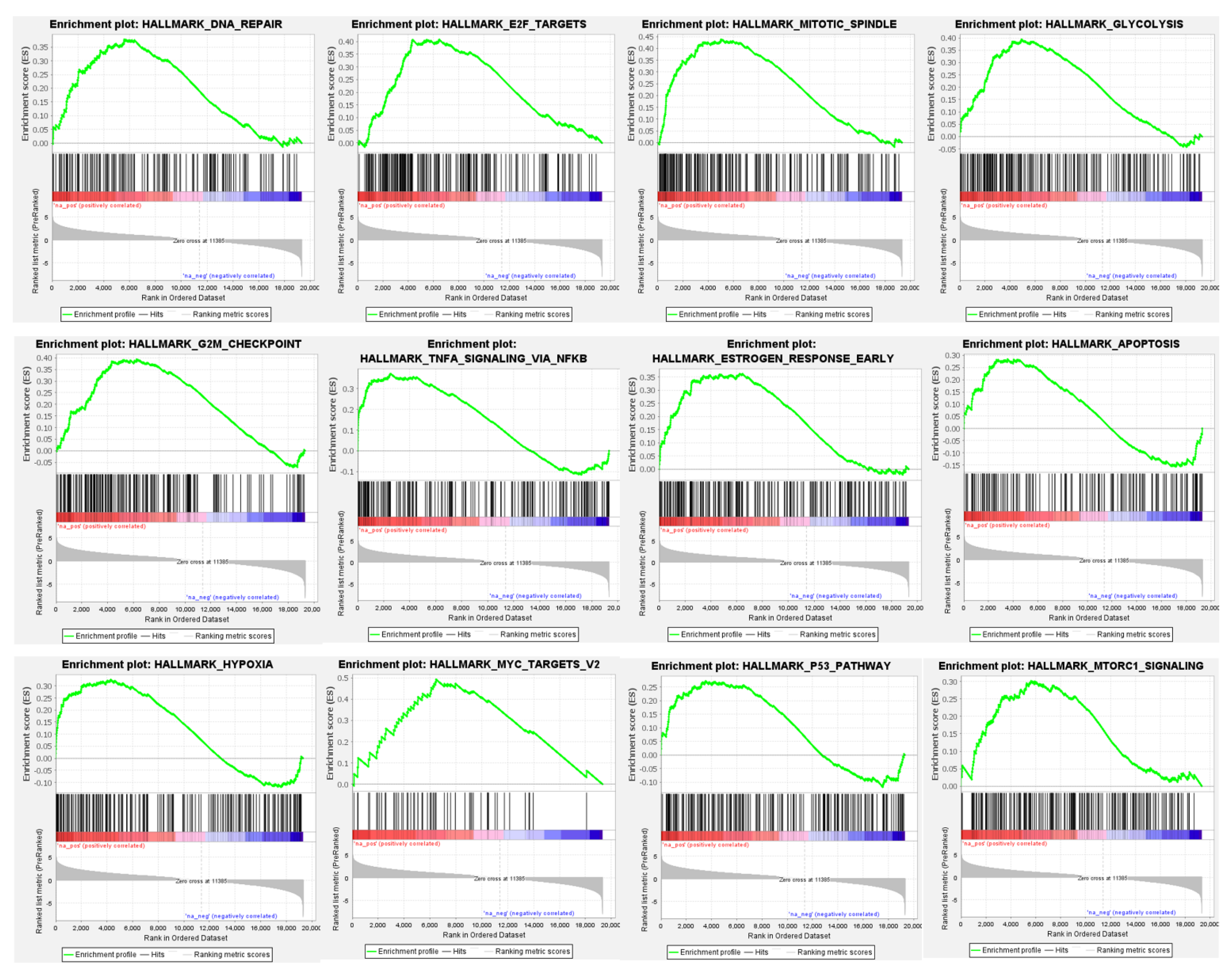 Cancers 14 04000 g003