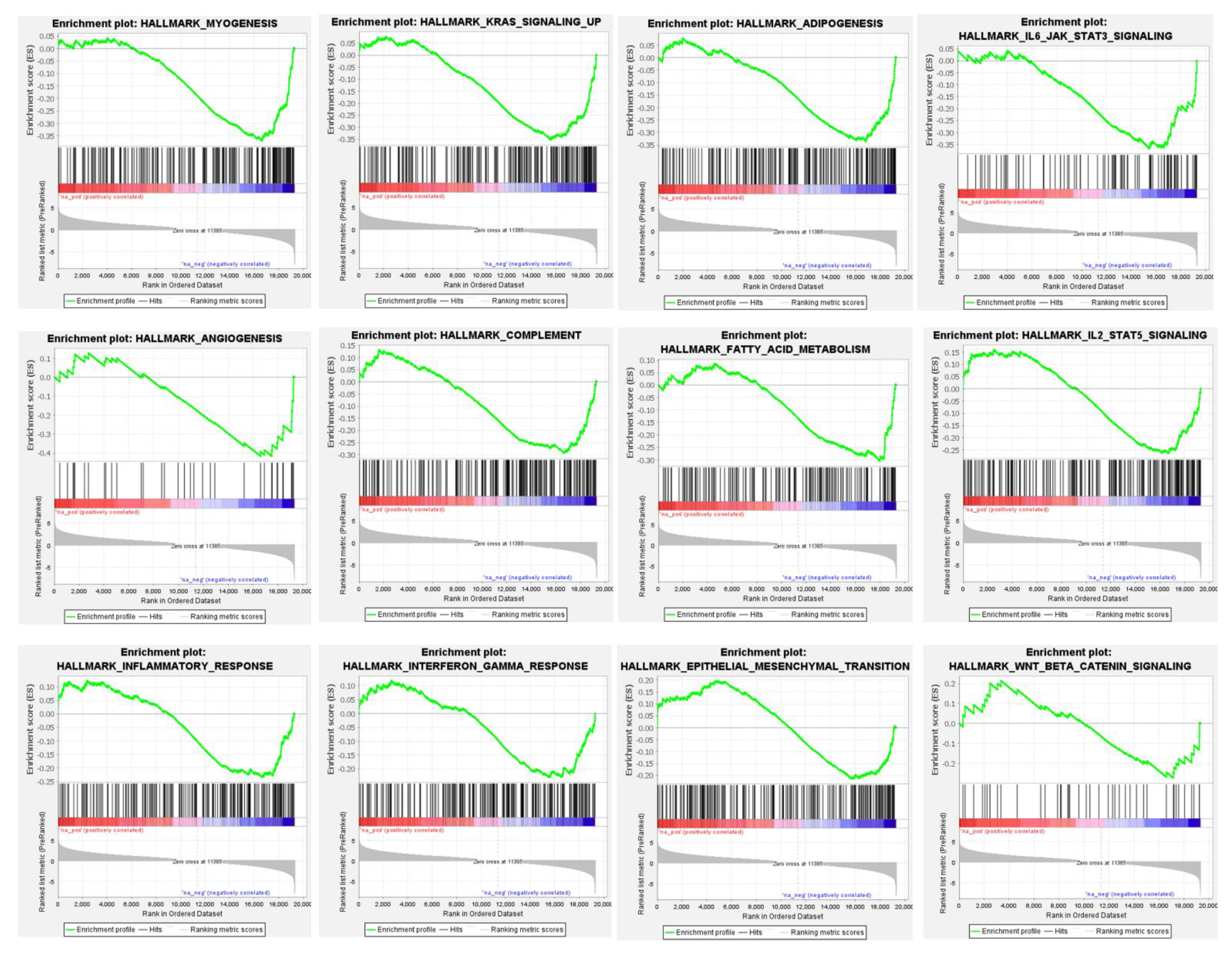 Cancers 14 04000 g004