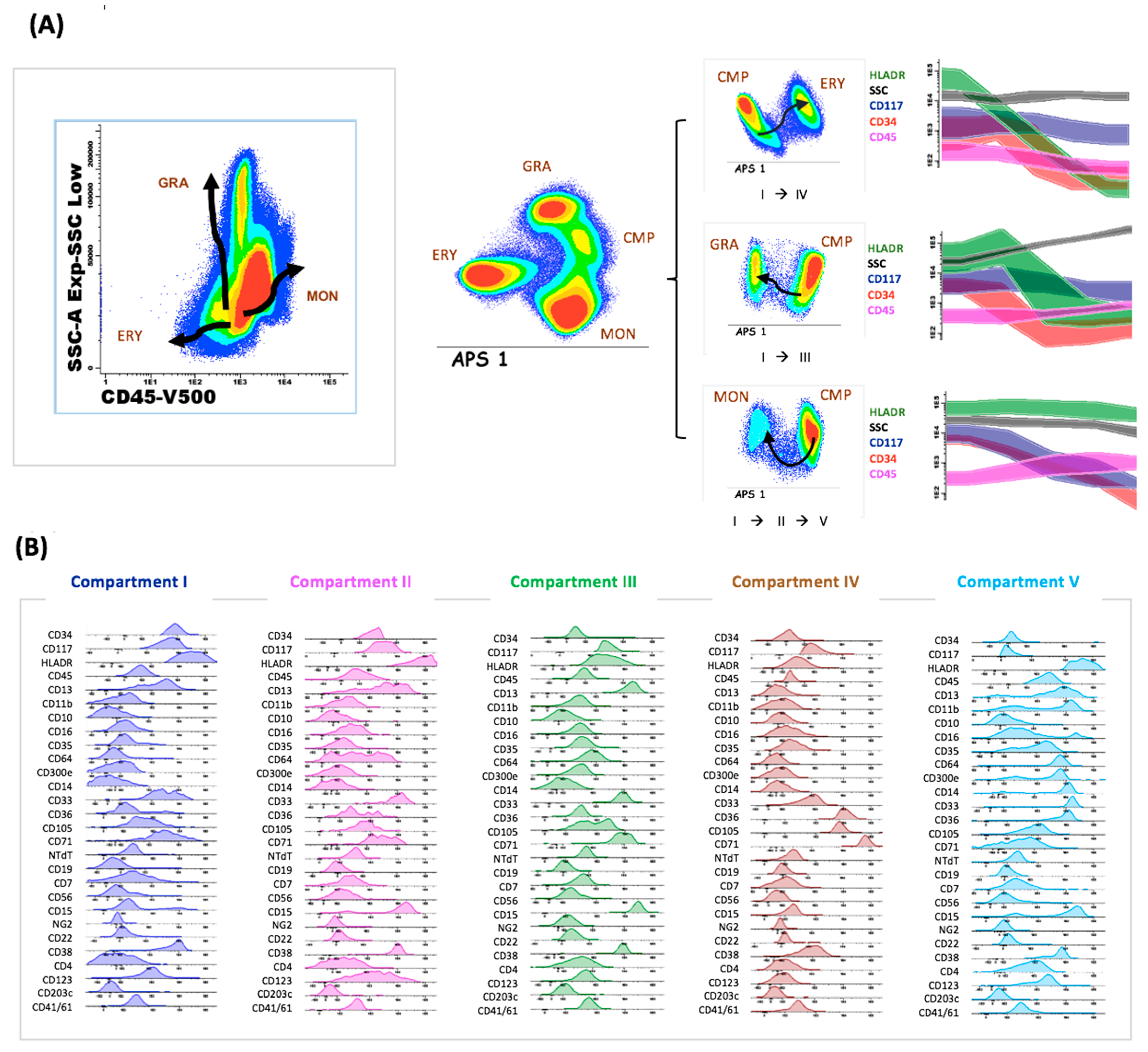 Cancers 14 04010 g002