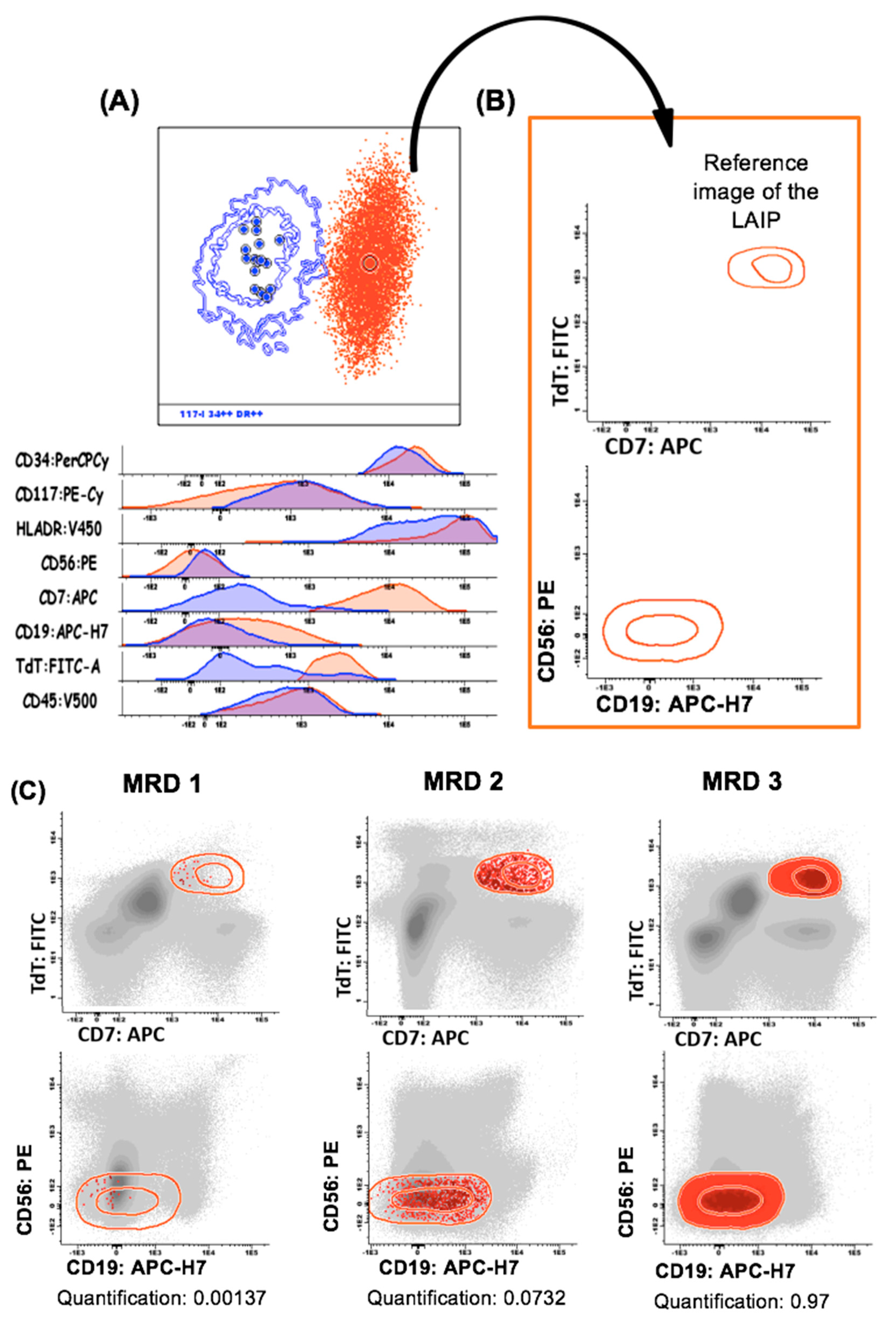 Cancers 14 04010 g004