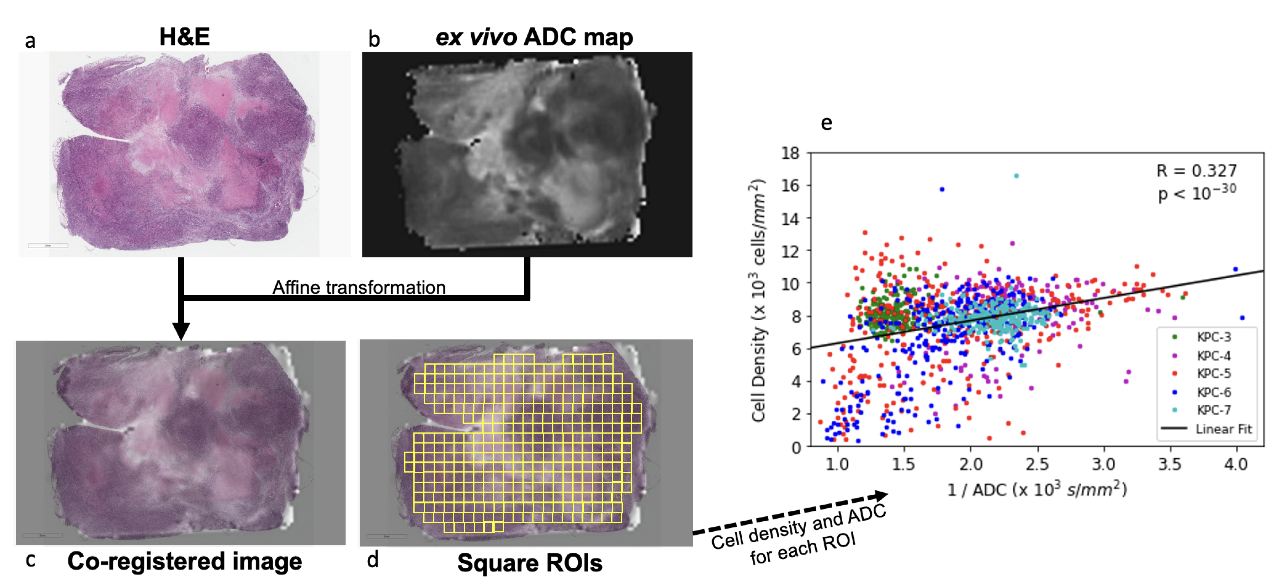 Cancers 14 04017 g003 550